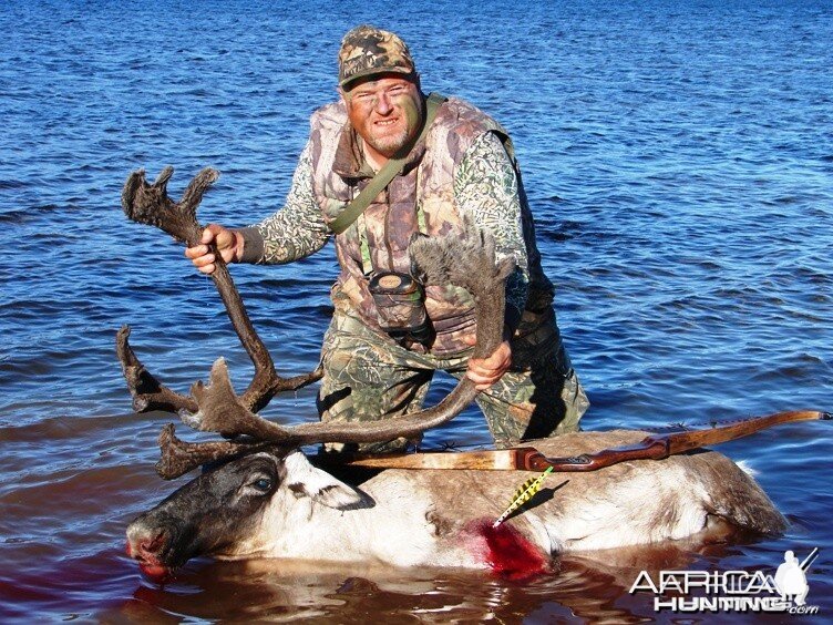 Caribou Bowhunting