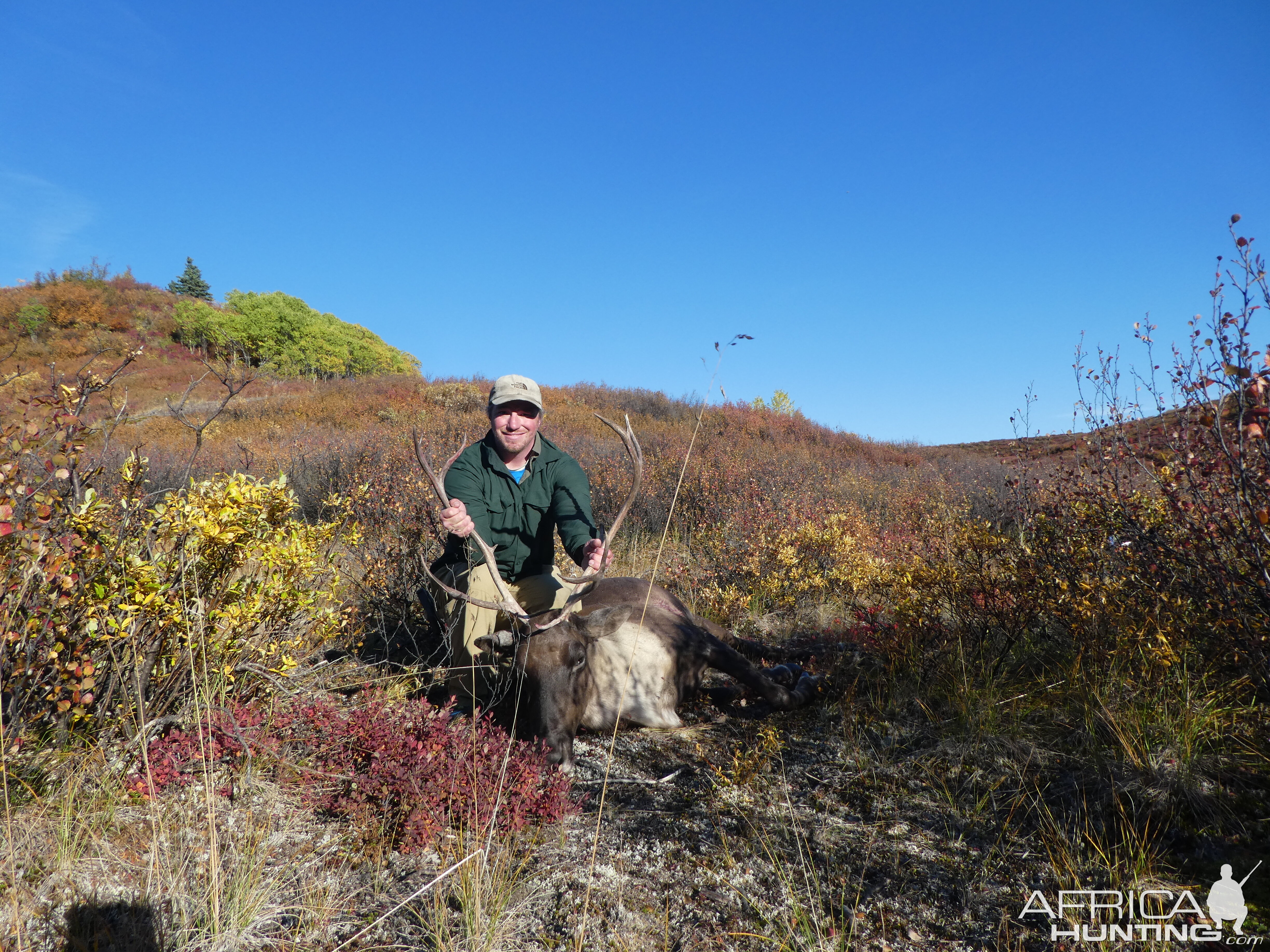 Caribou Hunt Alaska USA