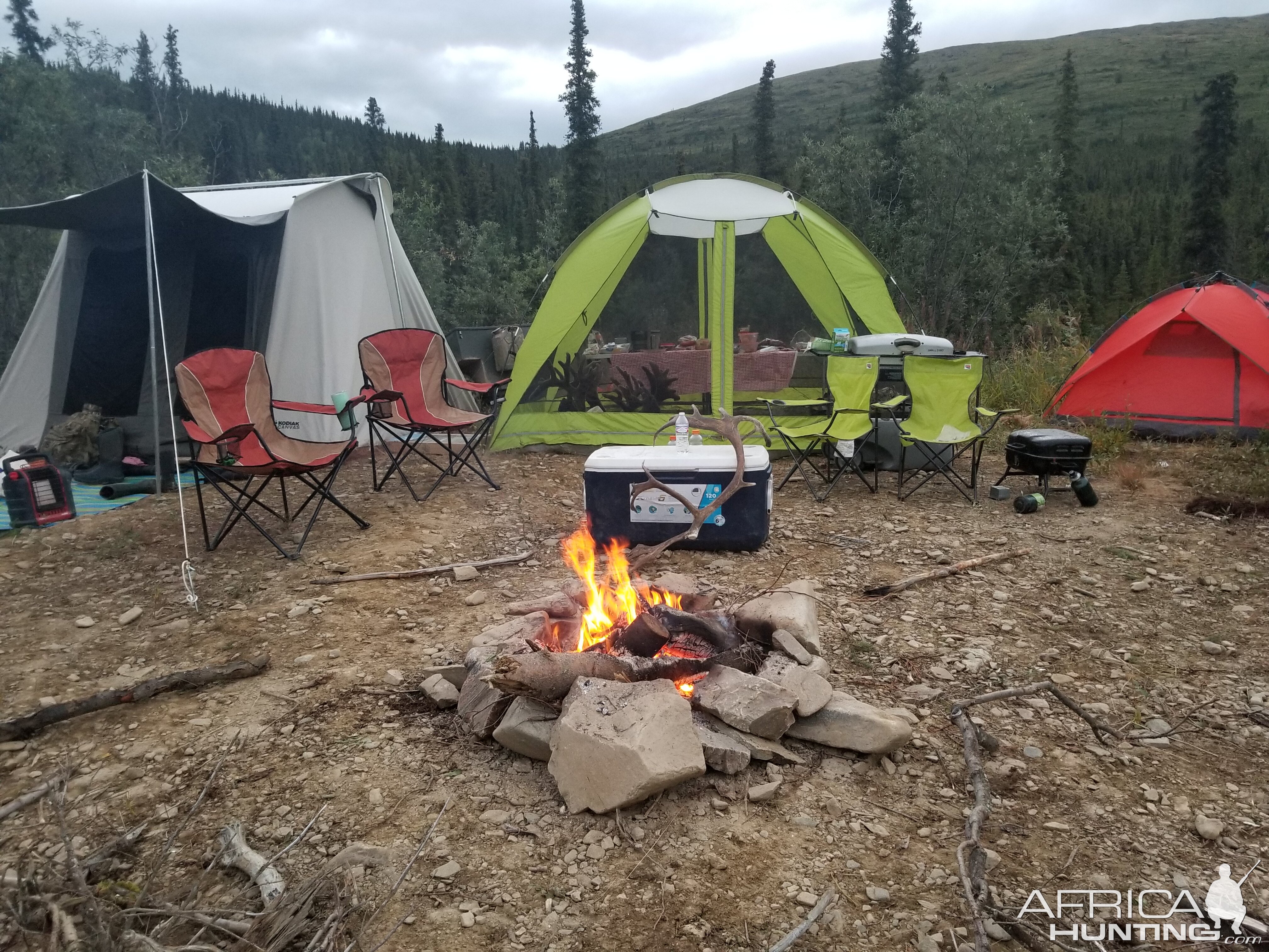 Caribou Hunt USA