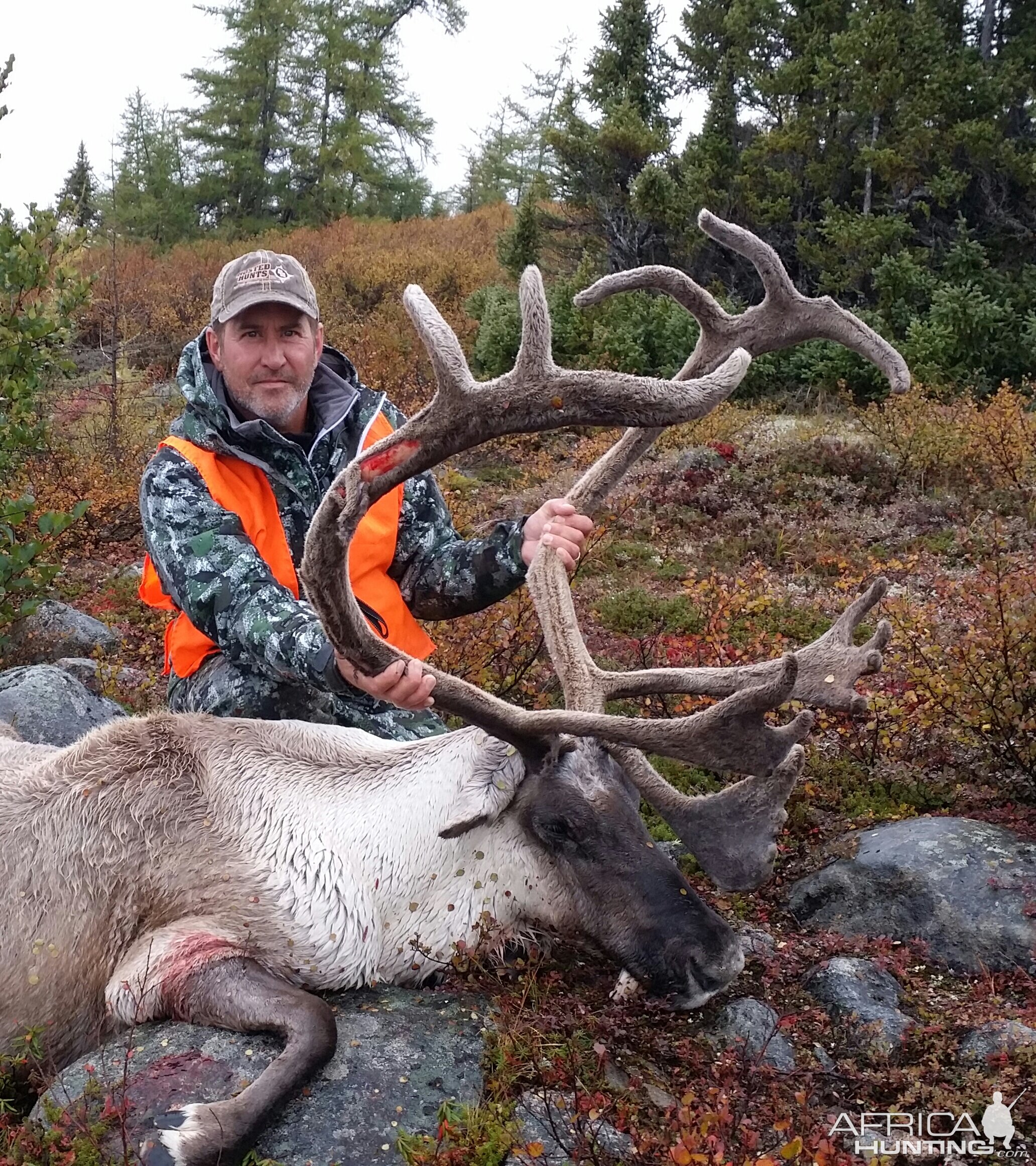 Caribou Hunt