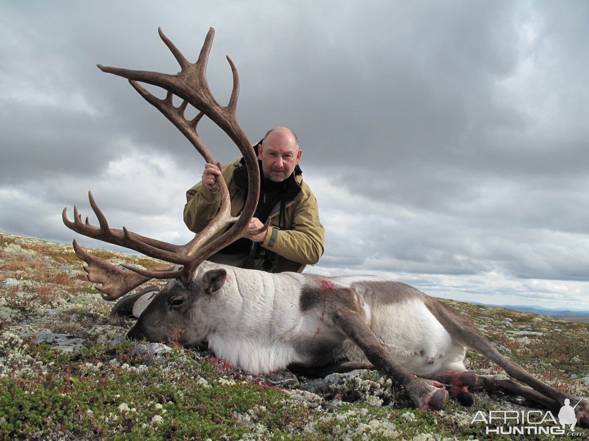 Caribou Hunt