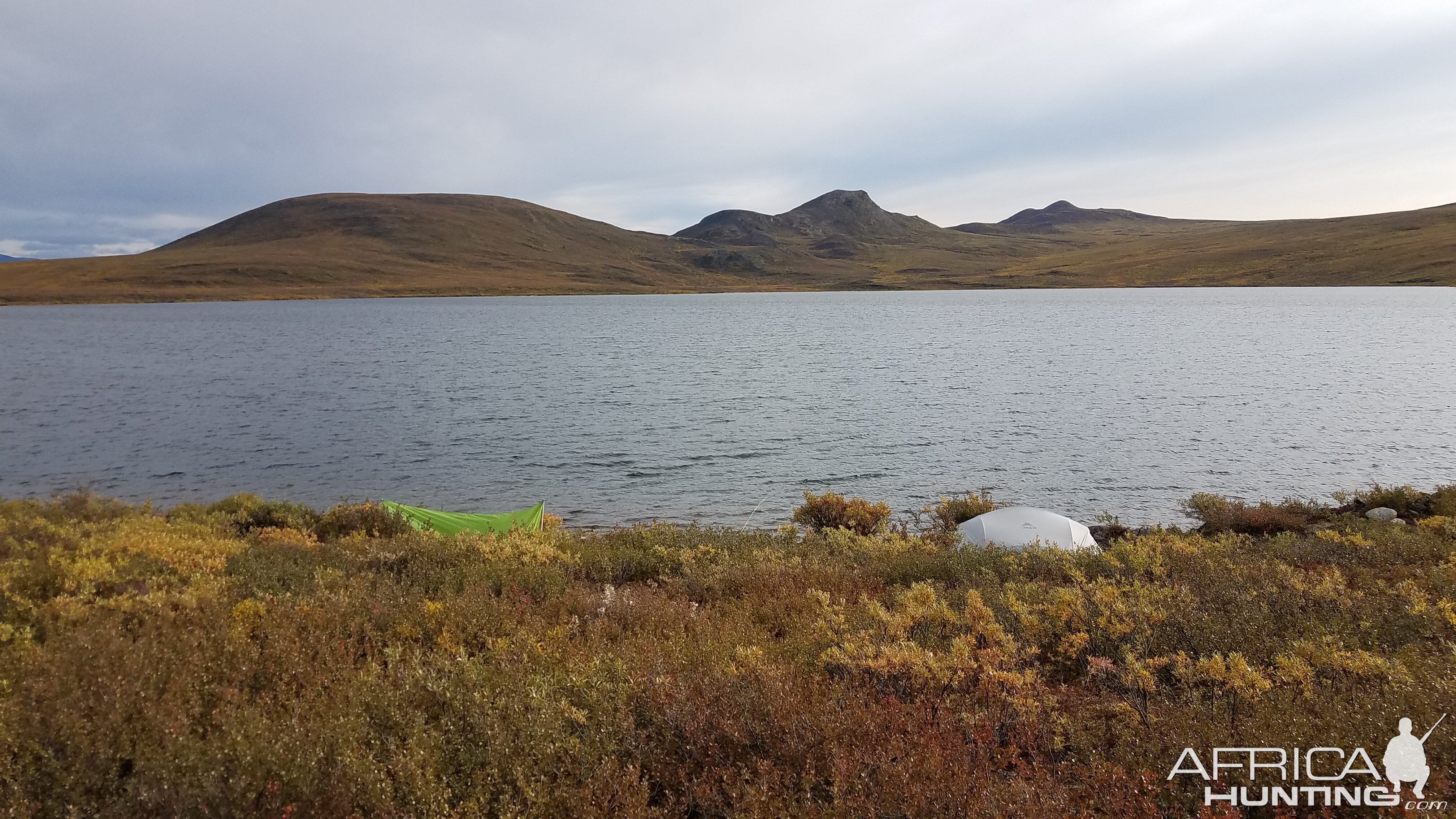 Caribou Hunting Alaska USA