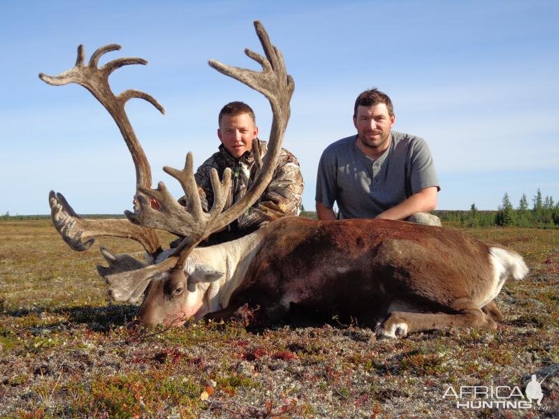 Caribou Manitoba 2012