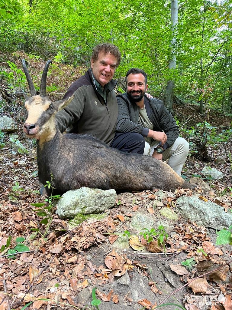 Carpathian Chamois Hunt Romania