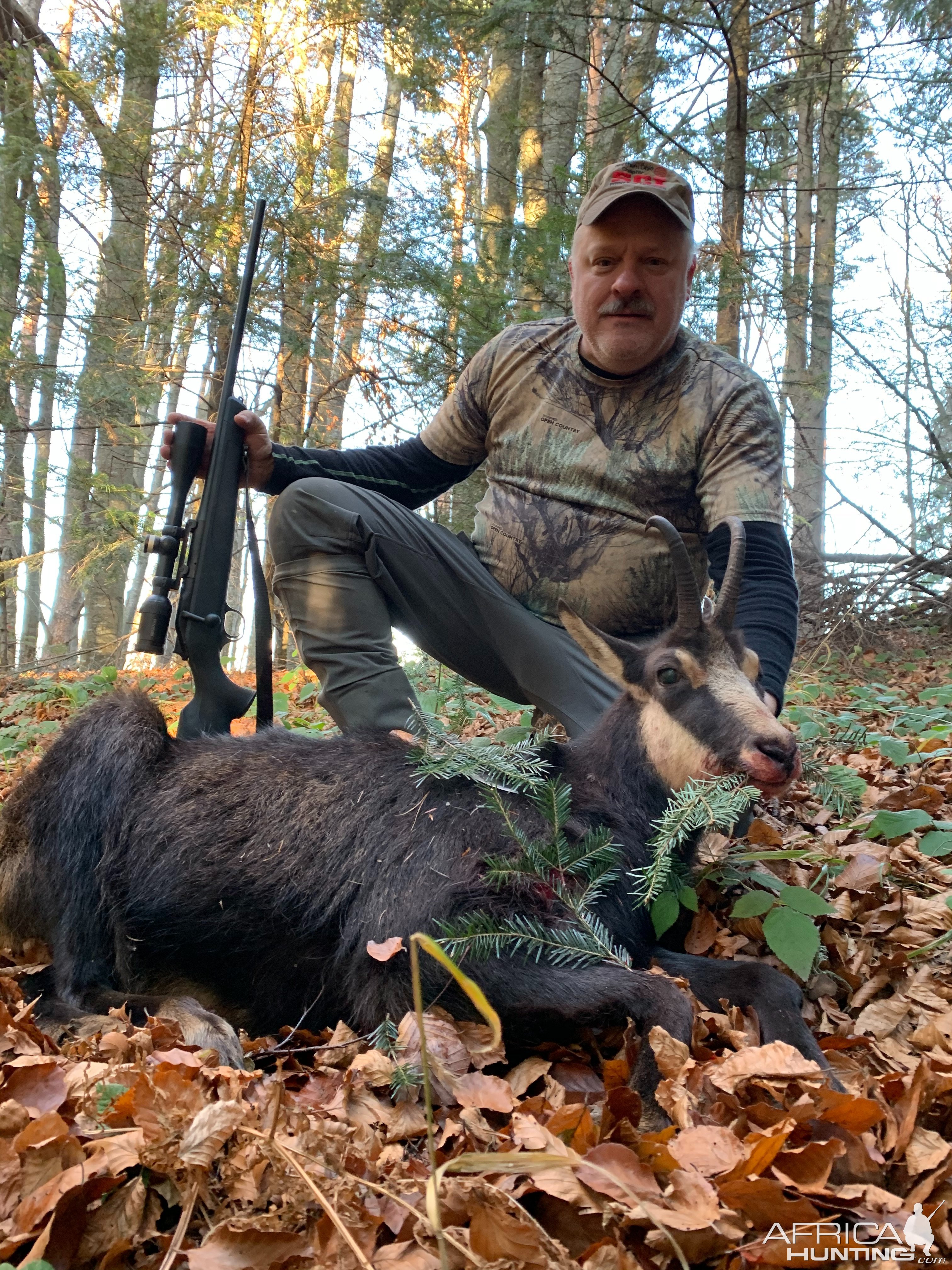 Carpathian Chamois Hunt Romania