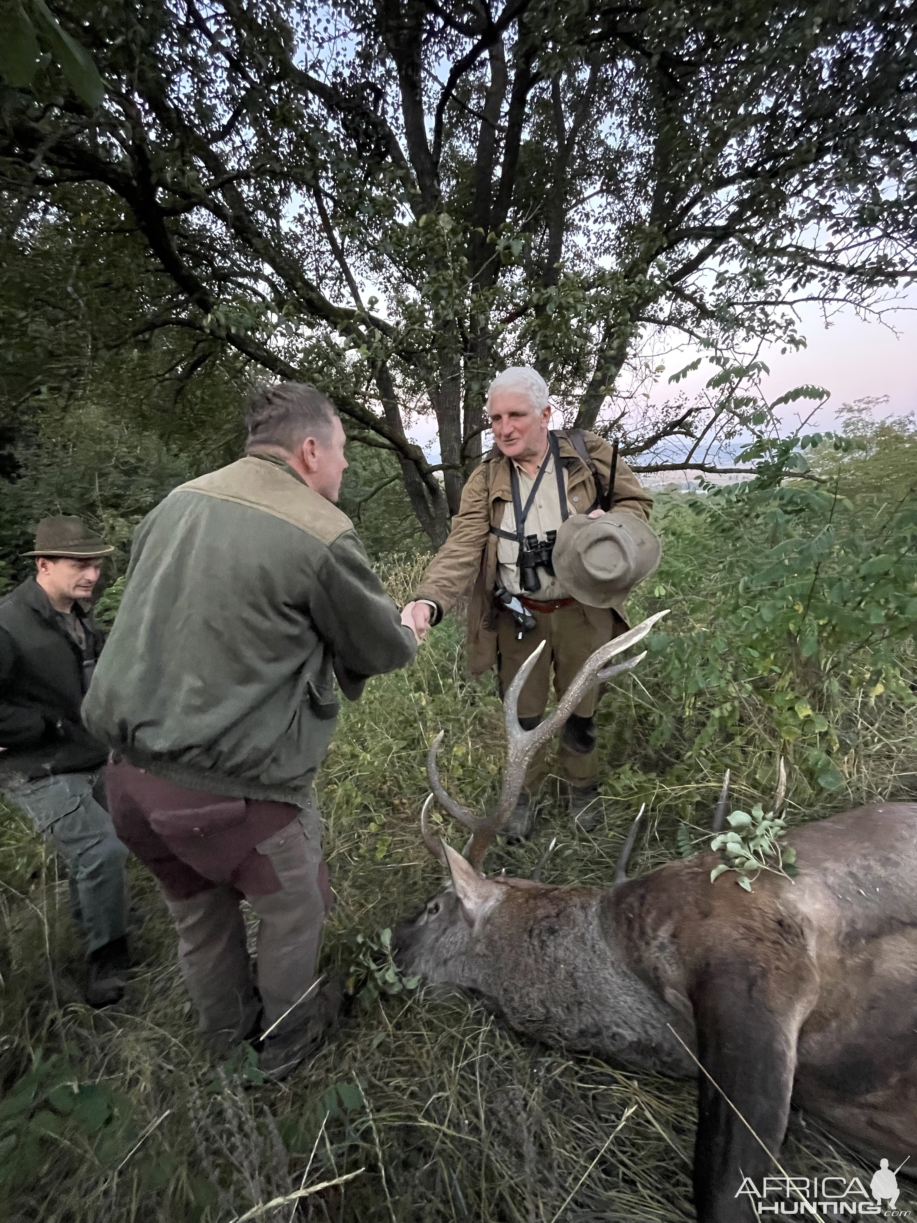 Carpathian Red Stag Hunt Romania