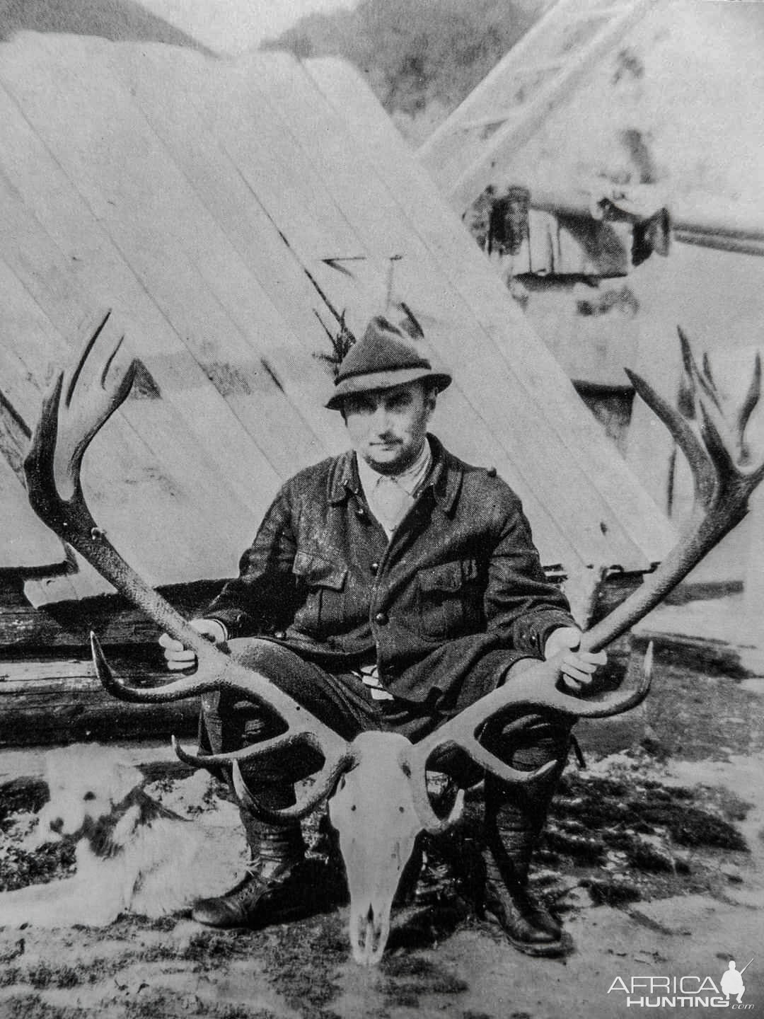 Carpathian Red Stag Hunt Romania