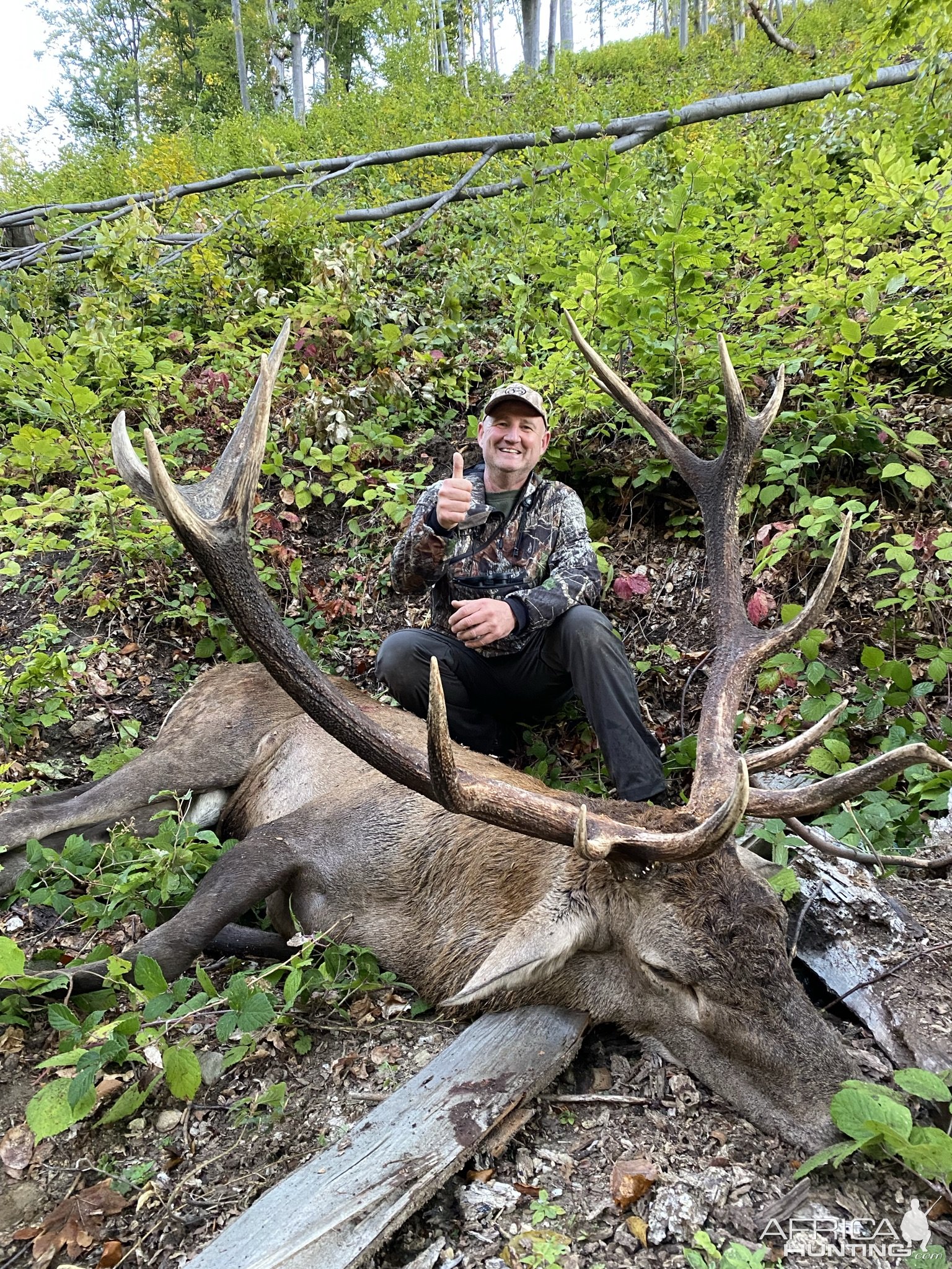 Carpathian Stag Hunt Romania