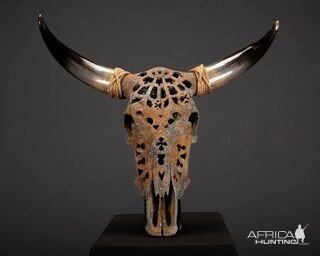 Carved Nguni Skull With oxidized Metal Powders