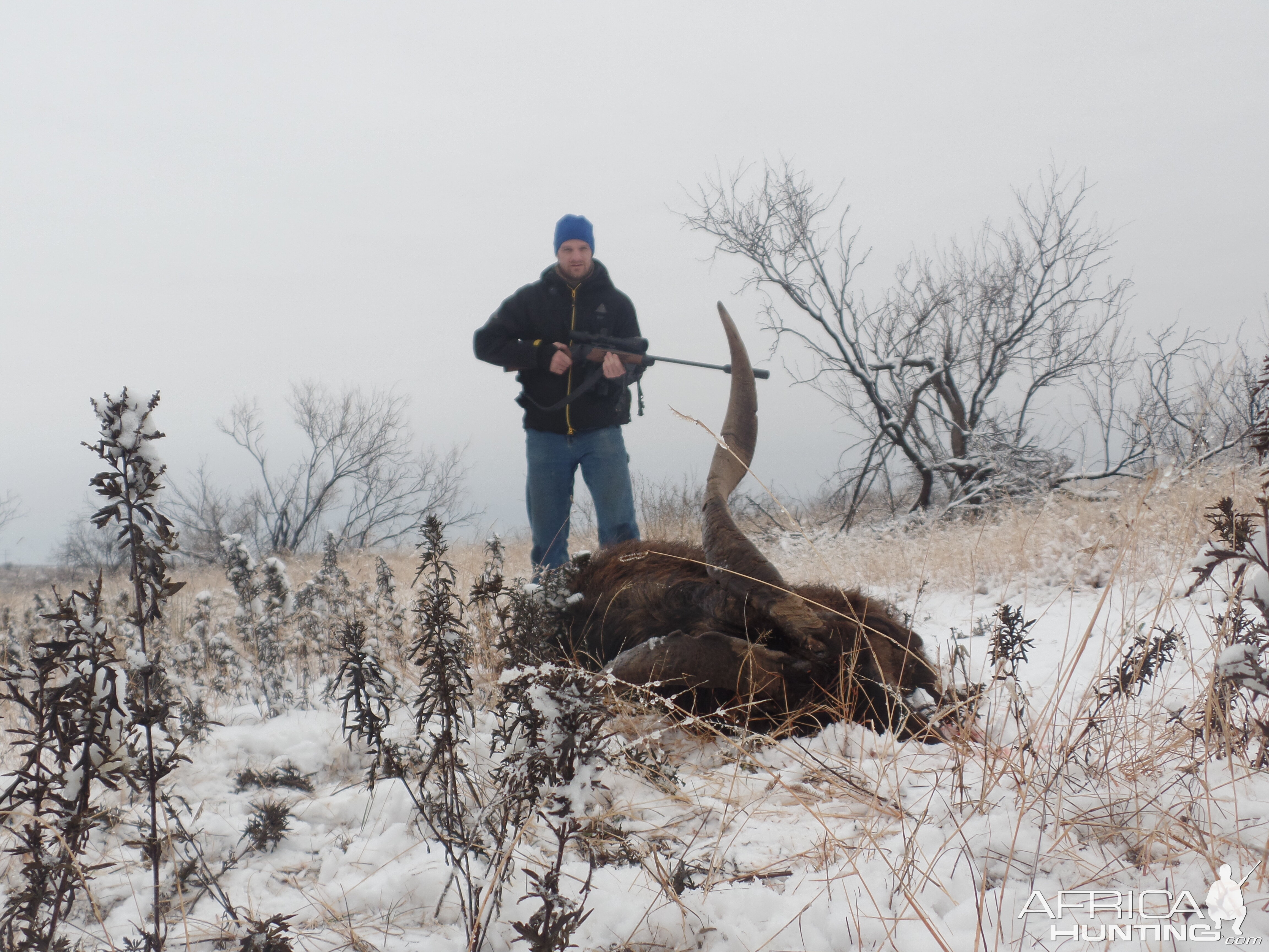 Catalina Goat Hunt Texas USA