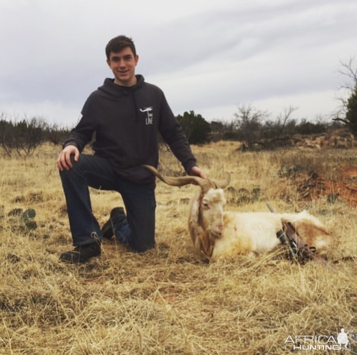 Catalina Goat Hunting Texas USA