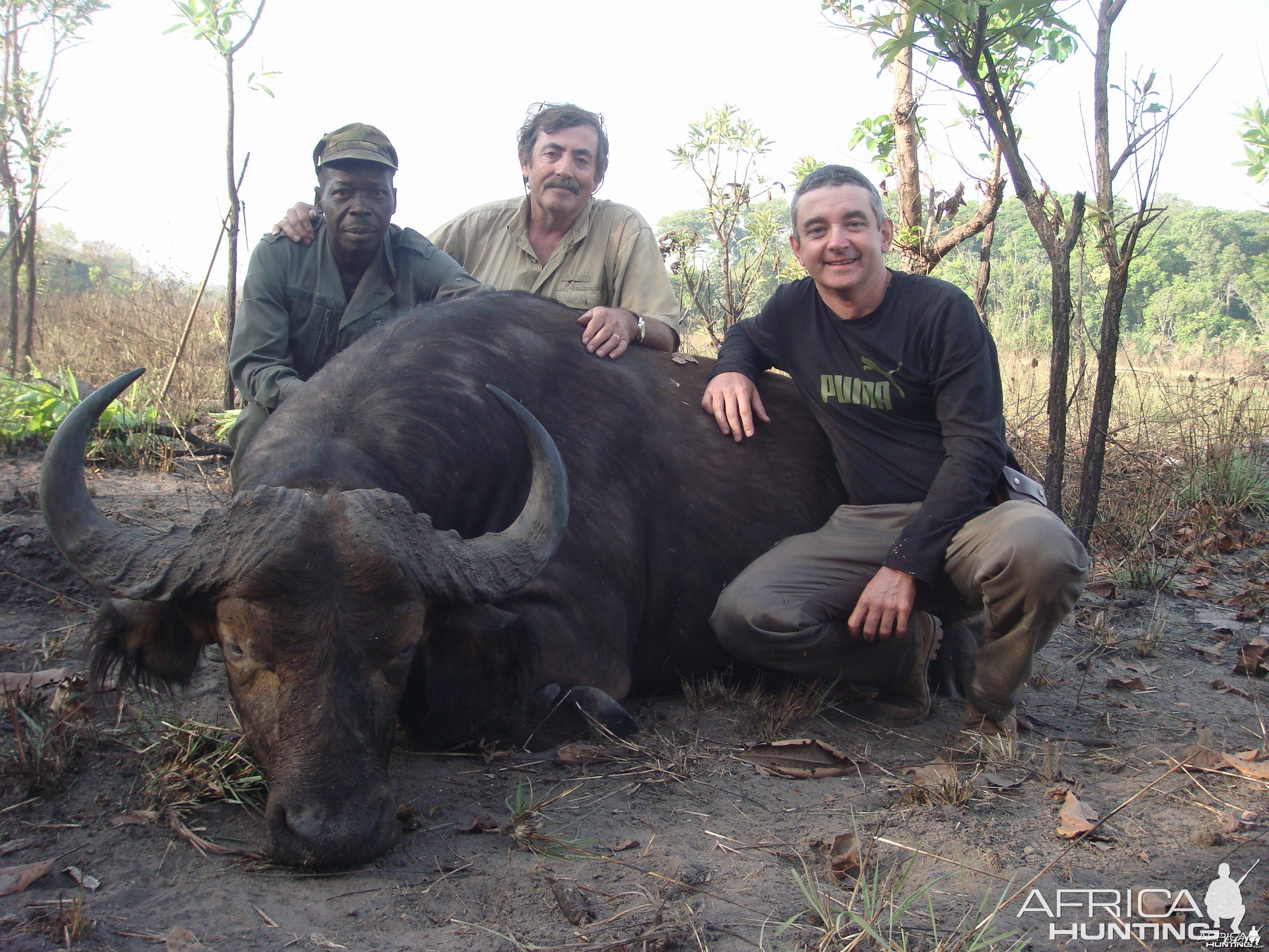 Central African Savannah Buffalo hunted in Central Africa with Club Faune