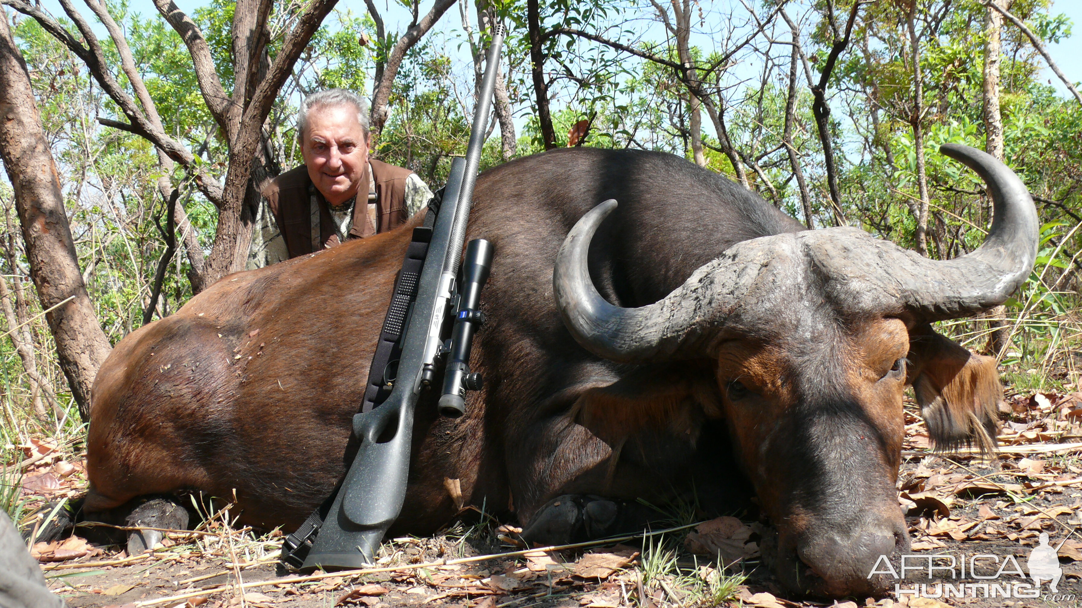 Central African Savannah Buffalo hunted in Central Africa with Club Faune