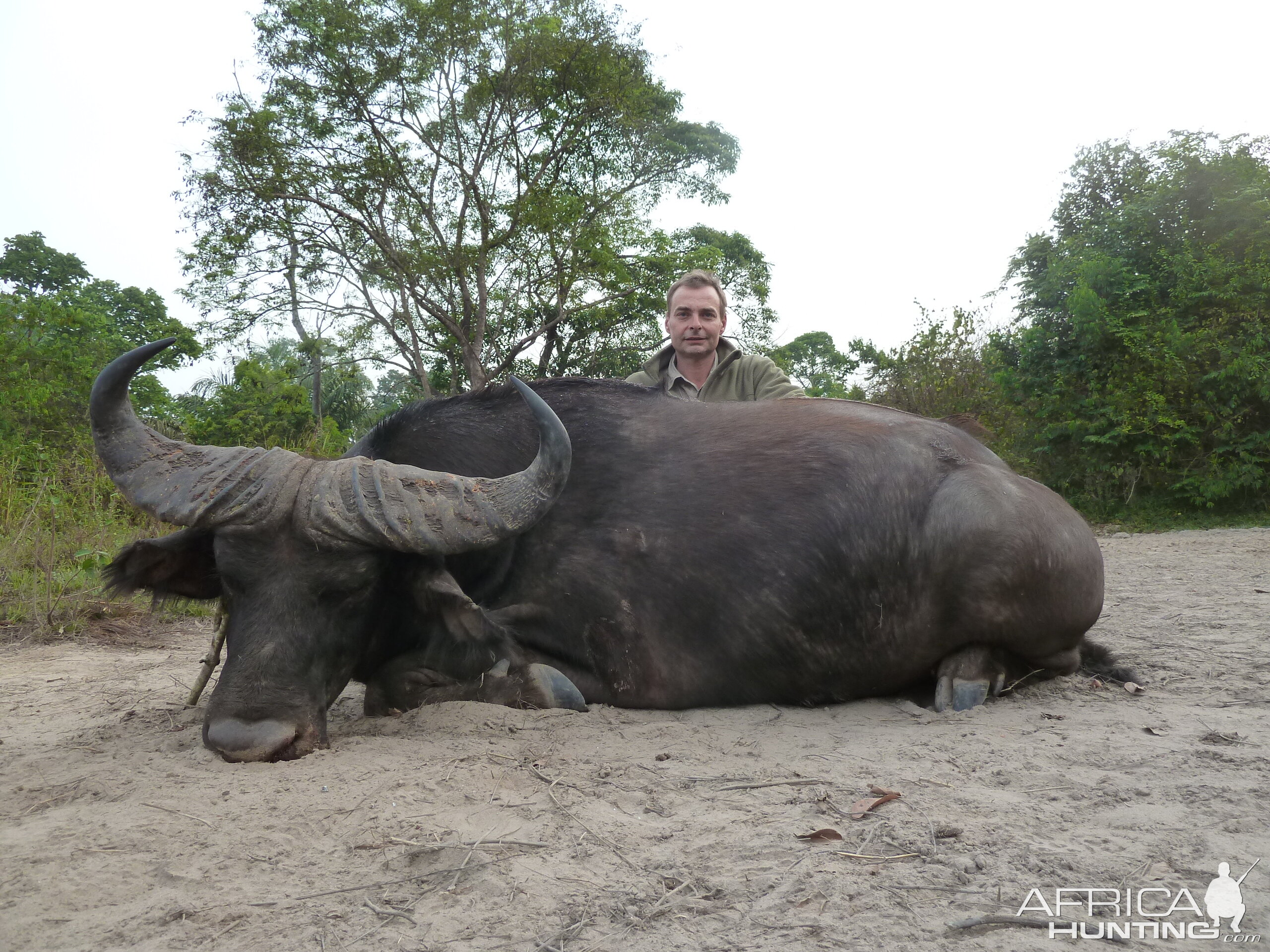 Central African Savannah Buffalo hunted in Central Africa with Club Faune