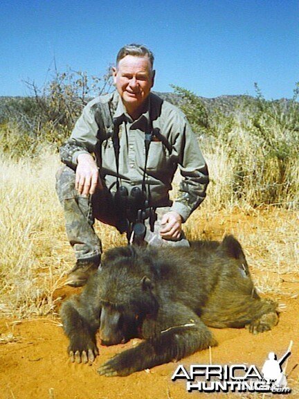 Chacma Baboon Hunted in Namibia