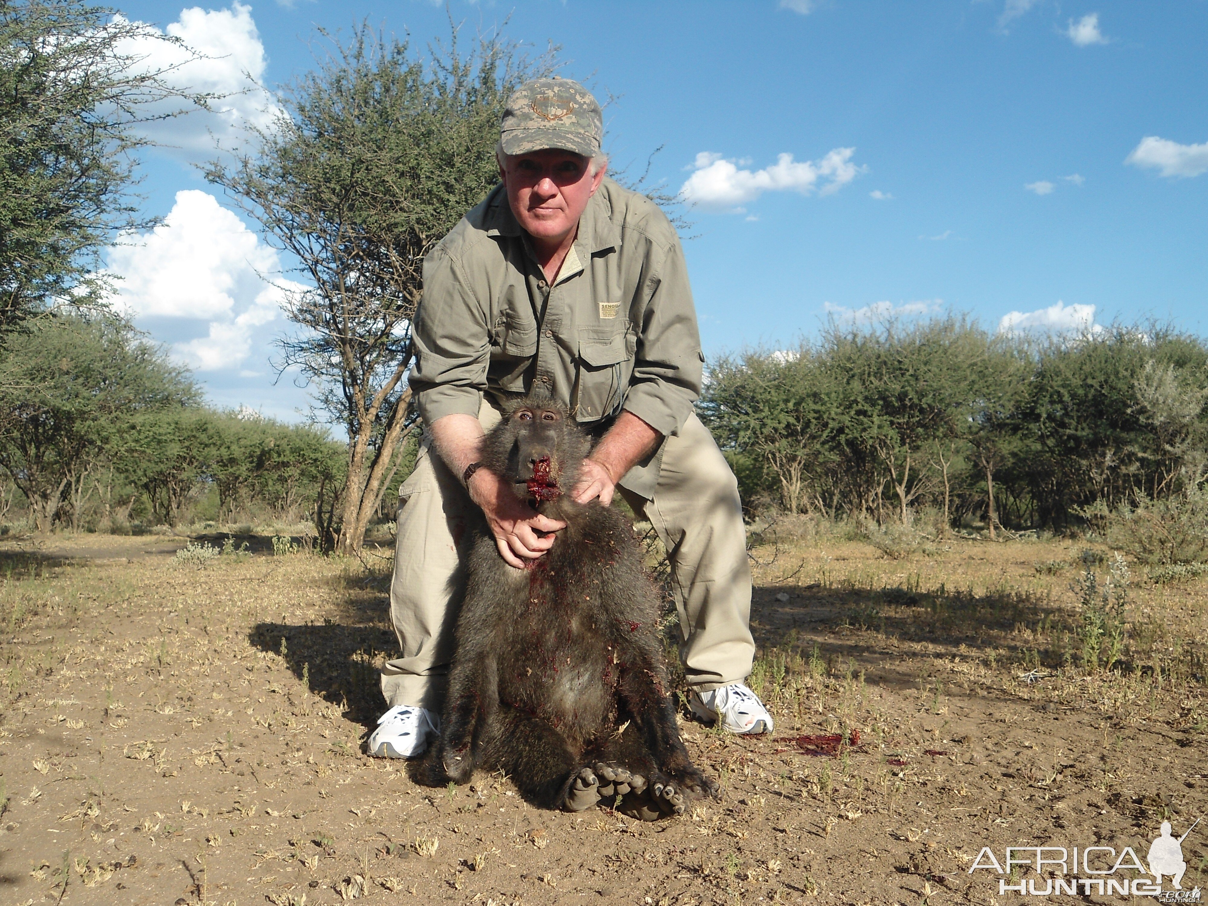 Chacma Baboon hunted with Ozondjahe Hunting Safaris in Namibia