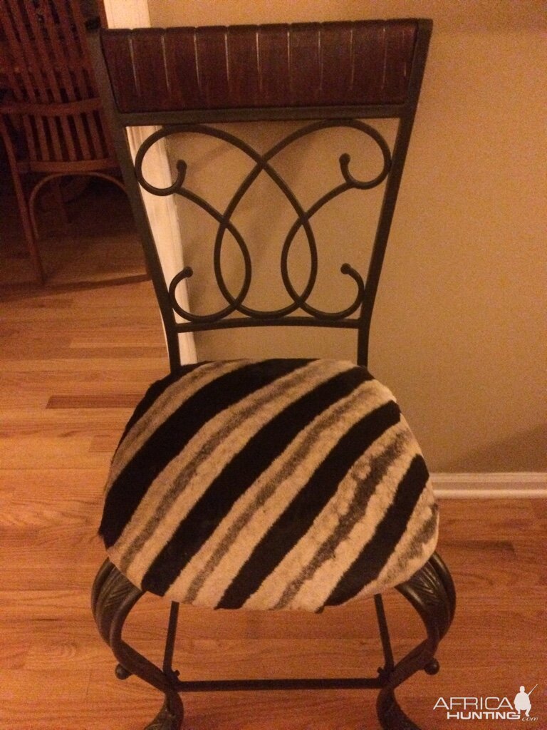 Chair made from Burchell's Plain Zebra Backskins