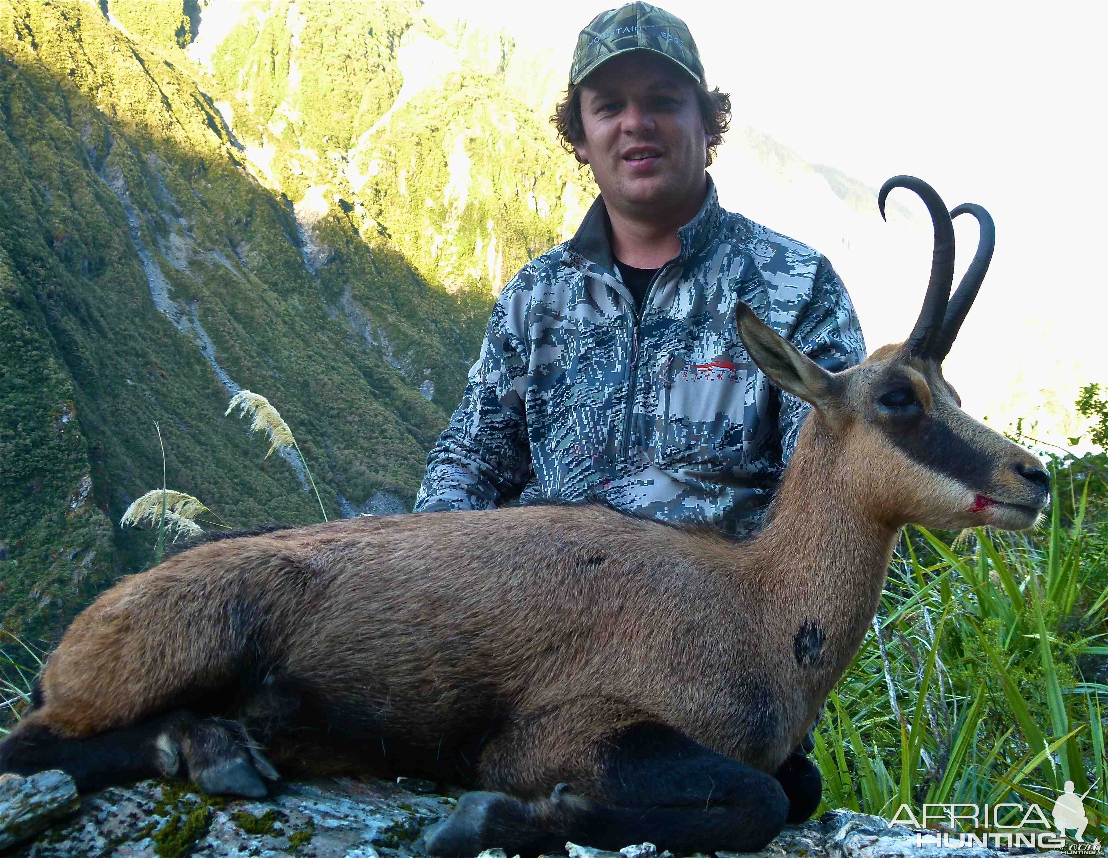 Chamois Buck