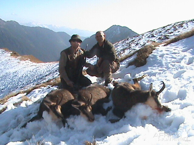 Chamois hunt in Romania