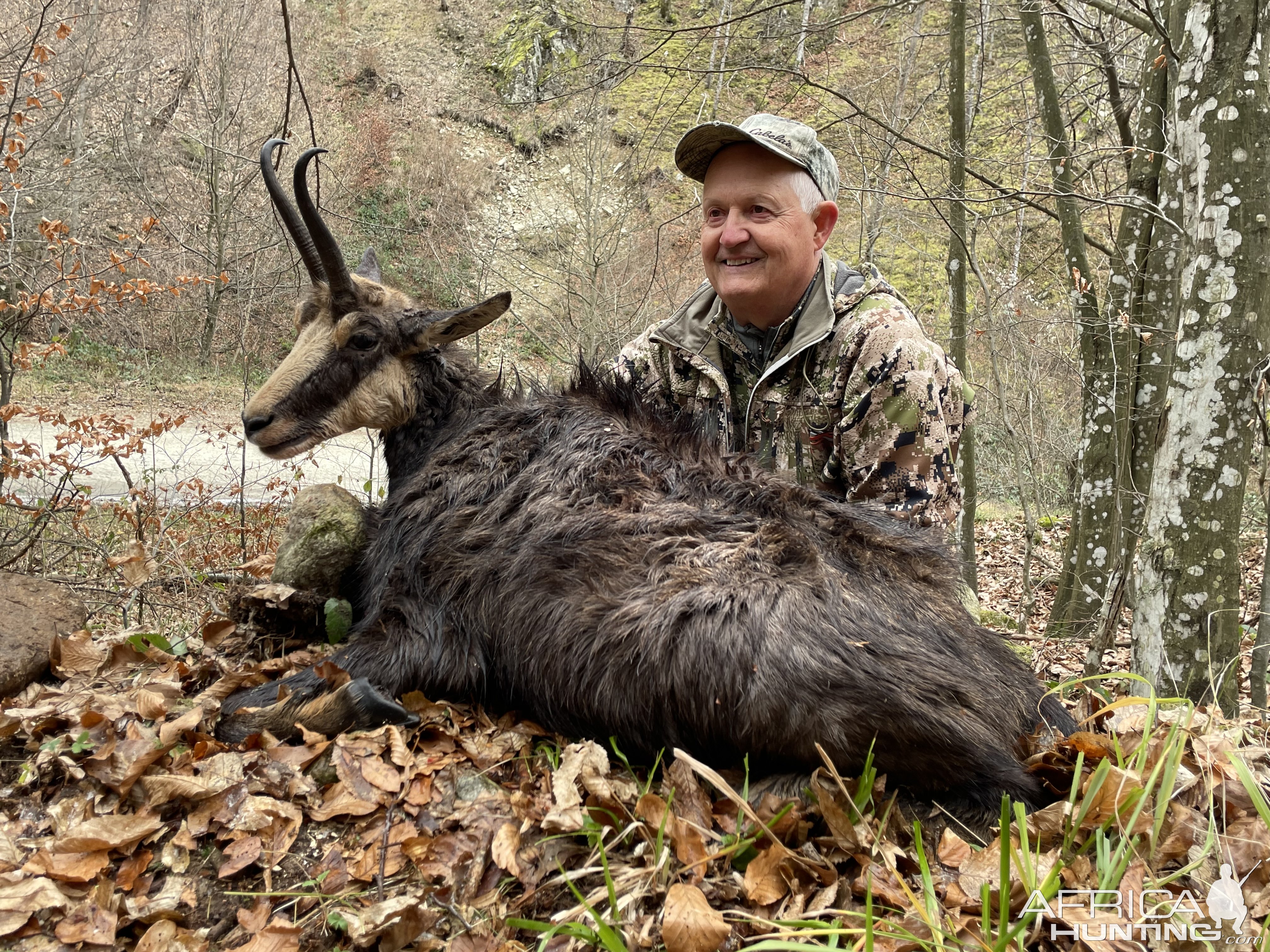 Chamois Hunt Romania