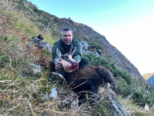 Chamois Hunt Romania