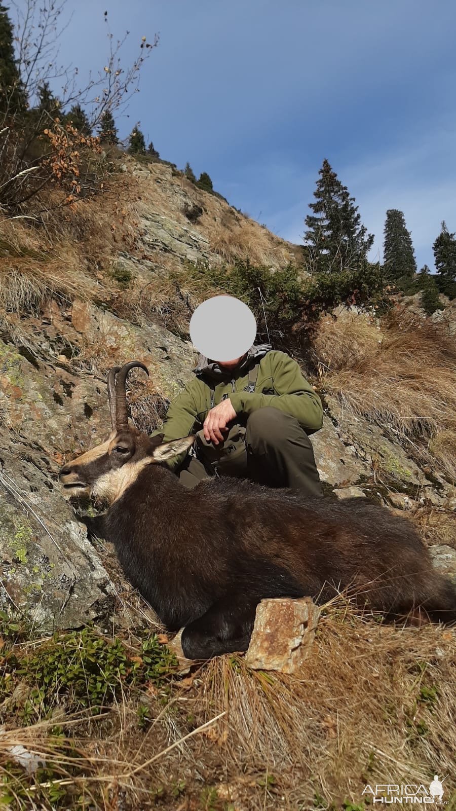 Chamois Hunt Romania