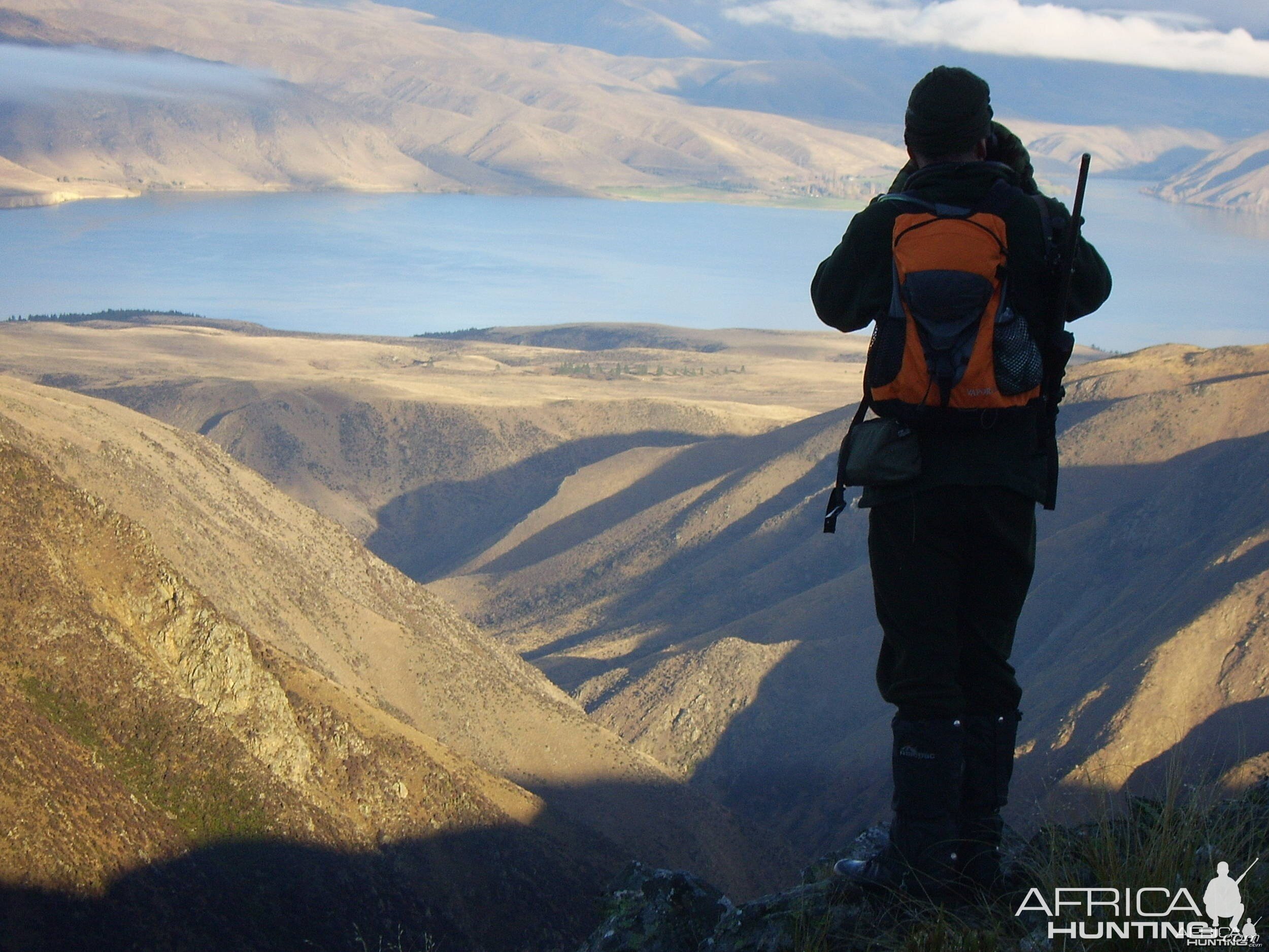 Chamois Hunting in New Zealand