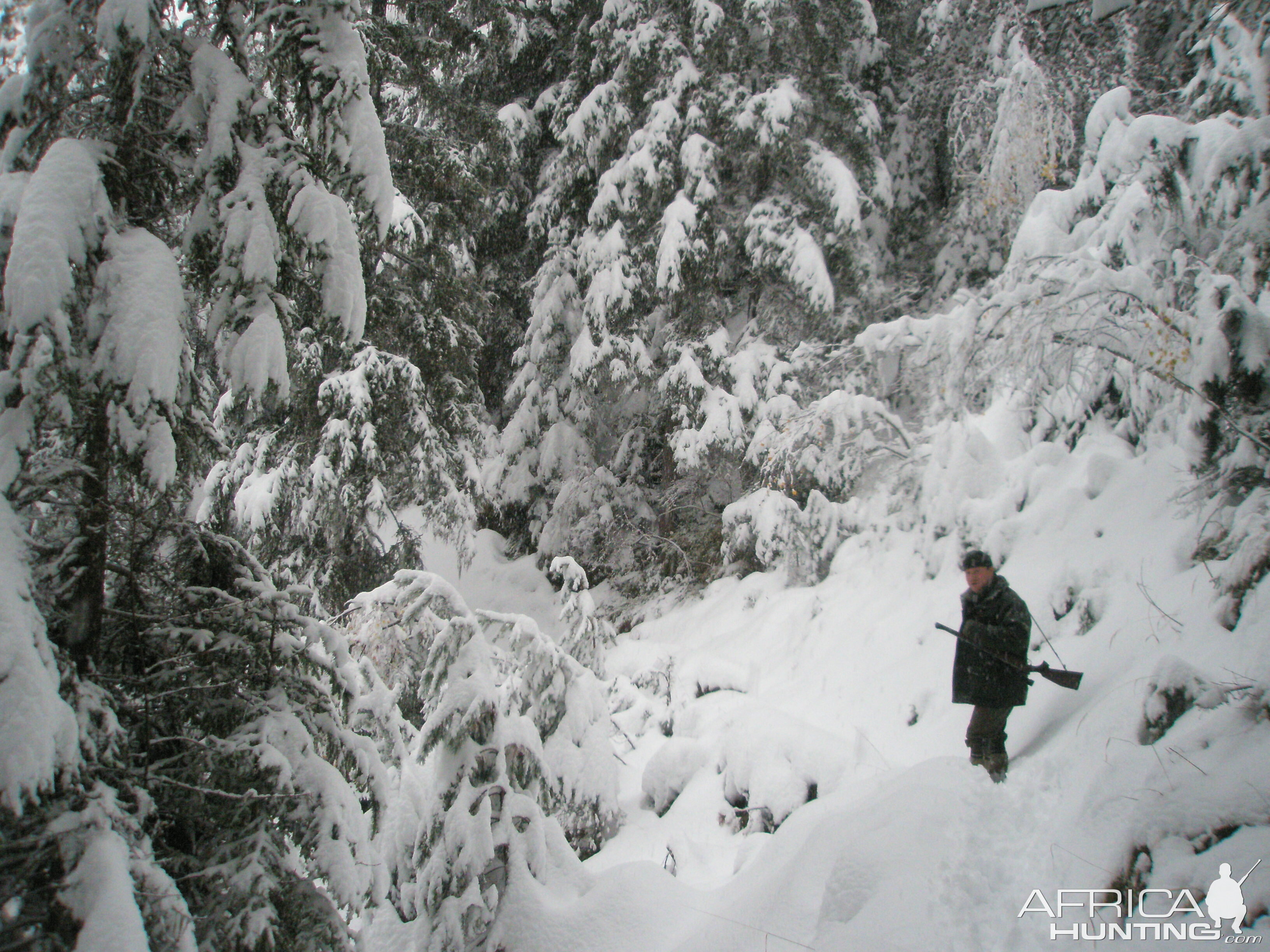 Chamois Hunting in the French Alps