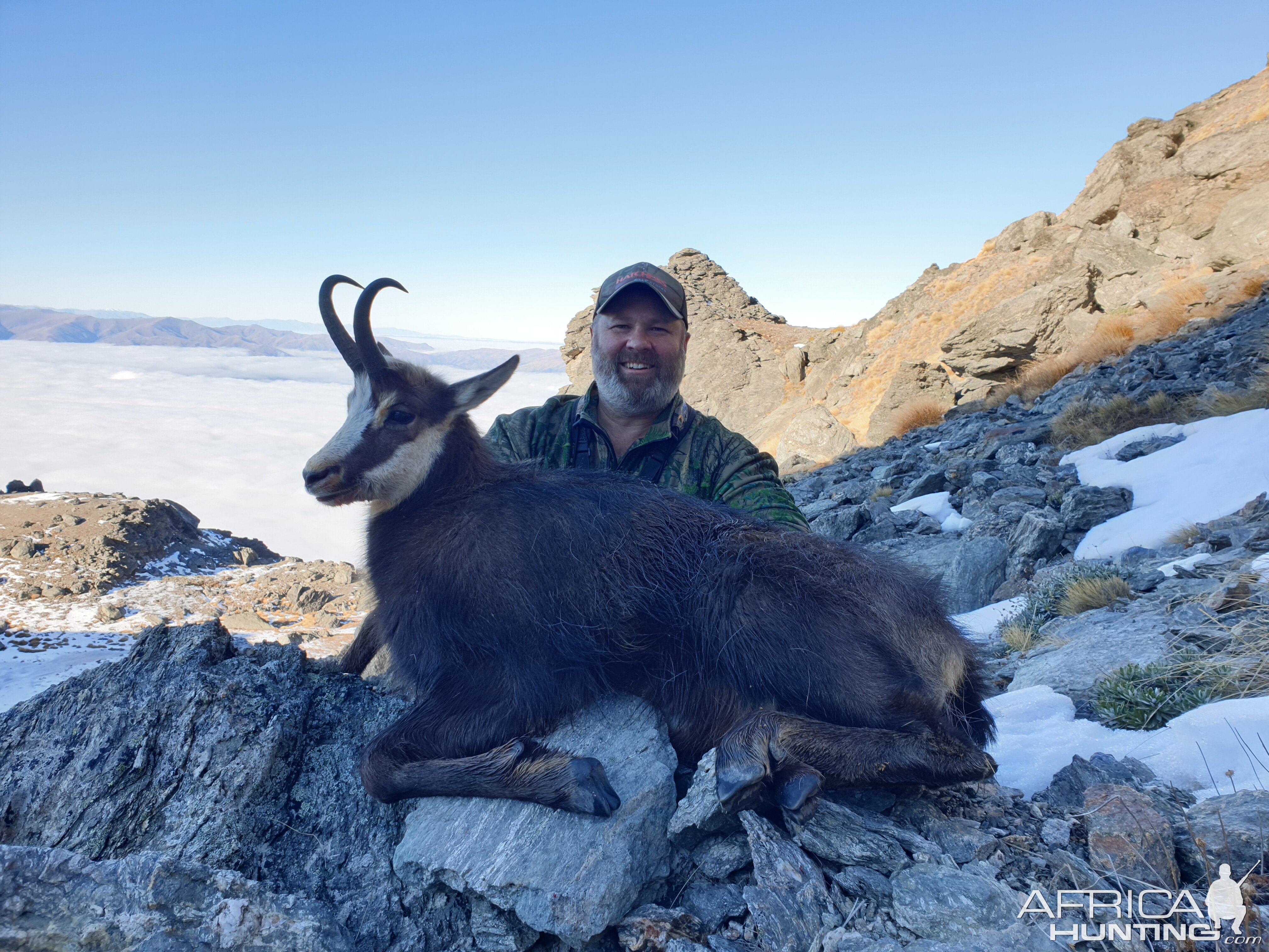 Chamois Hunting New Zealand