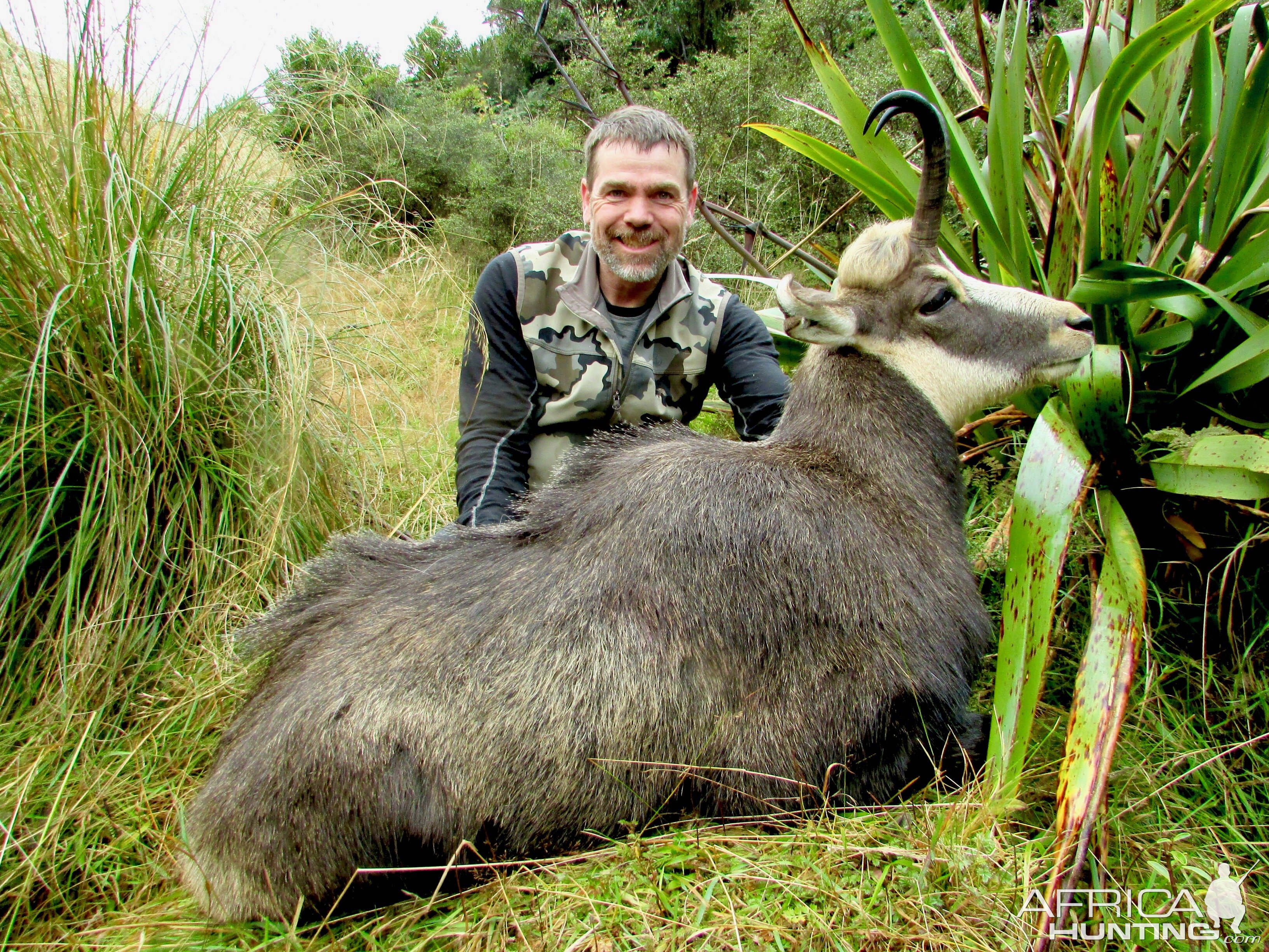 Chamois Hunting on private land- Free ranging & wild foot hunt