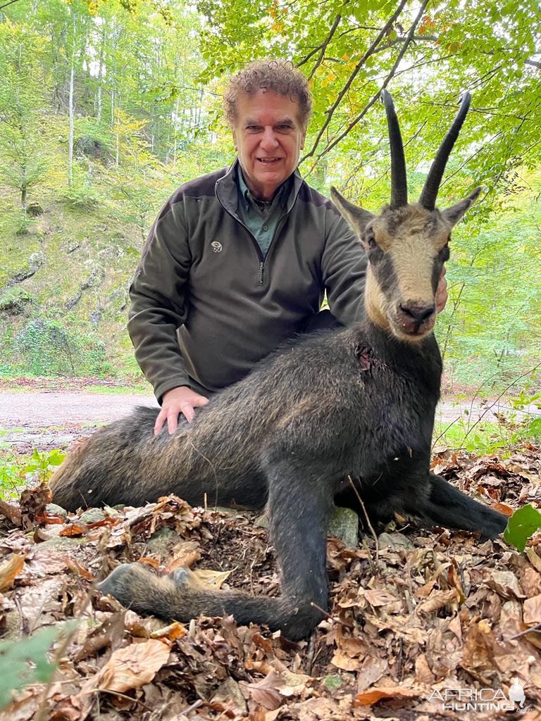 Chamois Hunting Romania