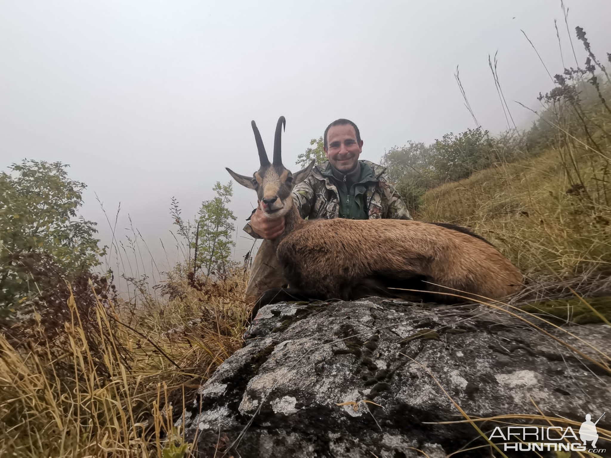 Chamois With Very Thick Bases