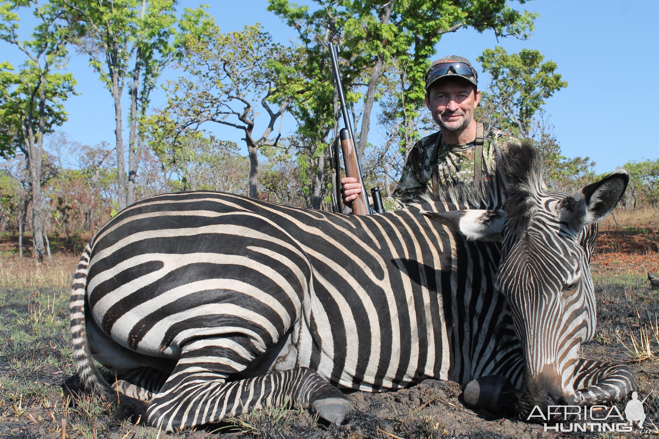 Chapman's Zebra Hunting Mozambique