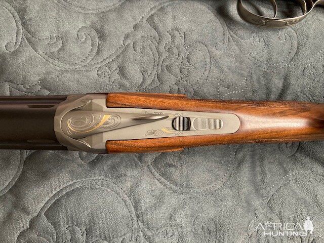 Chapuis Brousse in .375 H&H