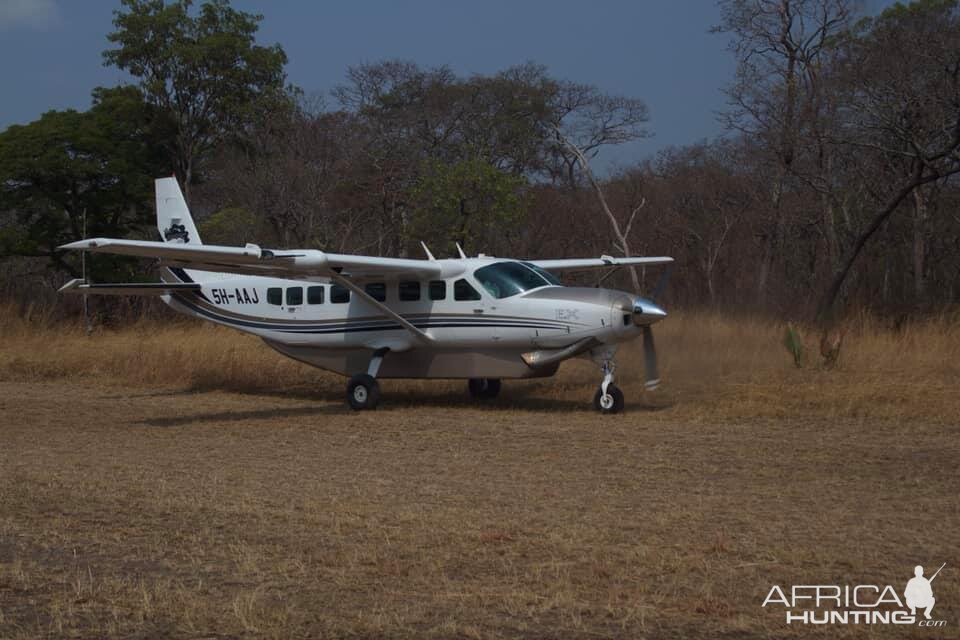 Charter Plane