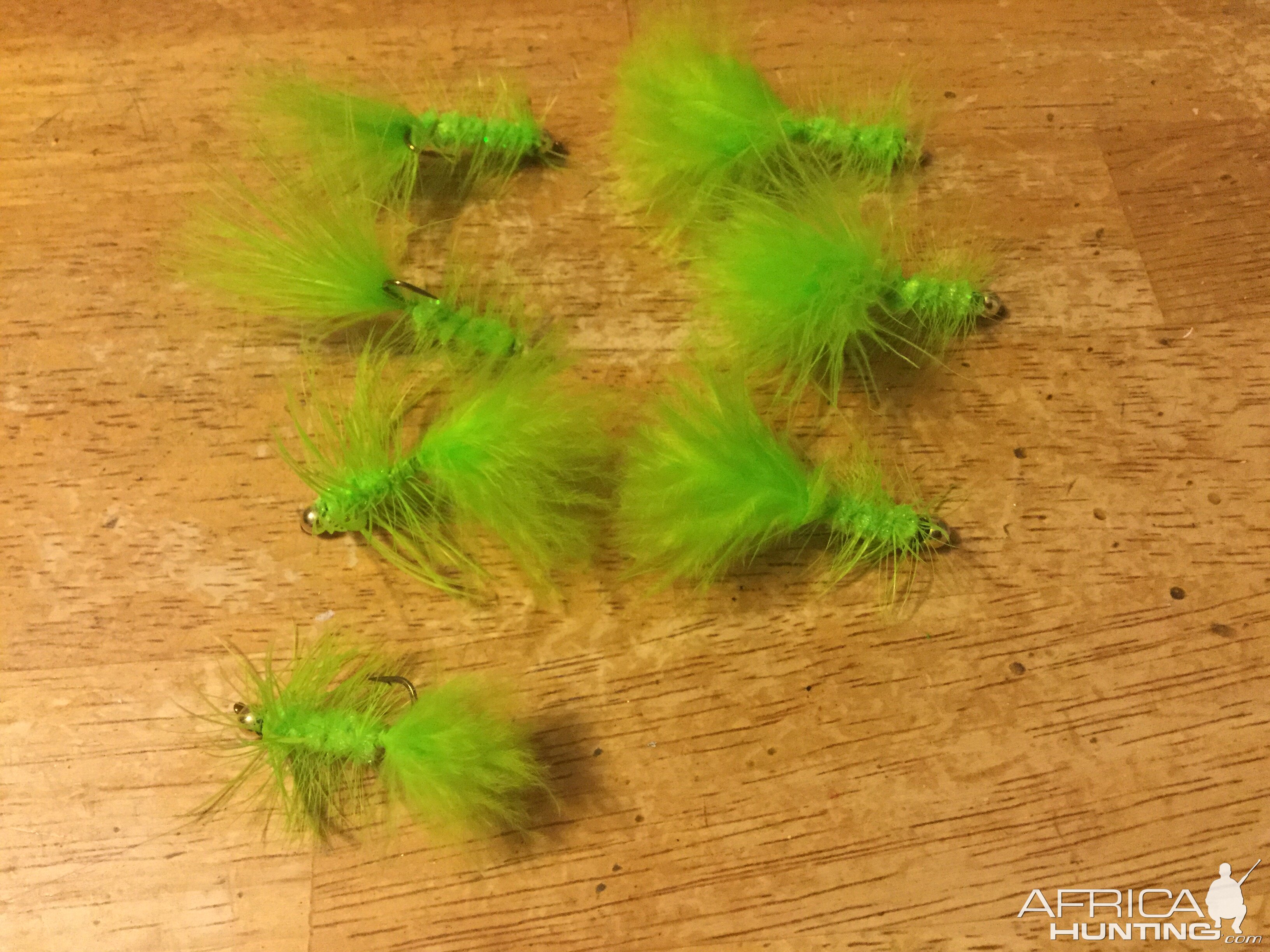 Chartreuse  Wooly Buggers