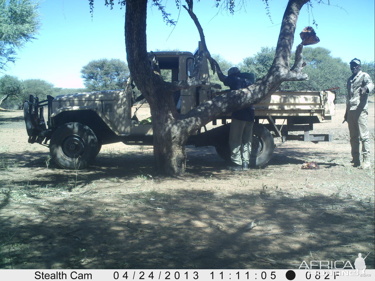 Checking Leopard Bait Trail Camera