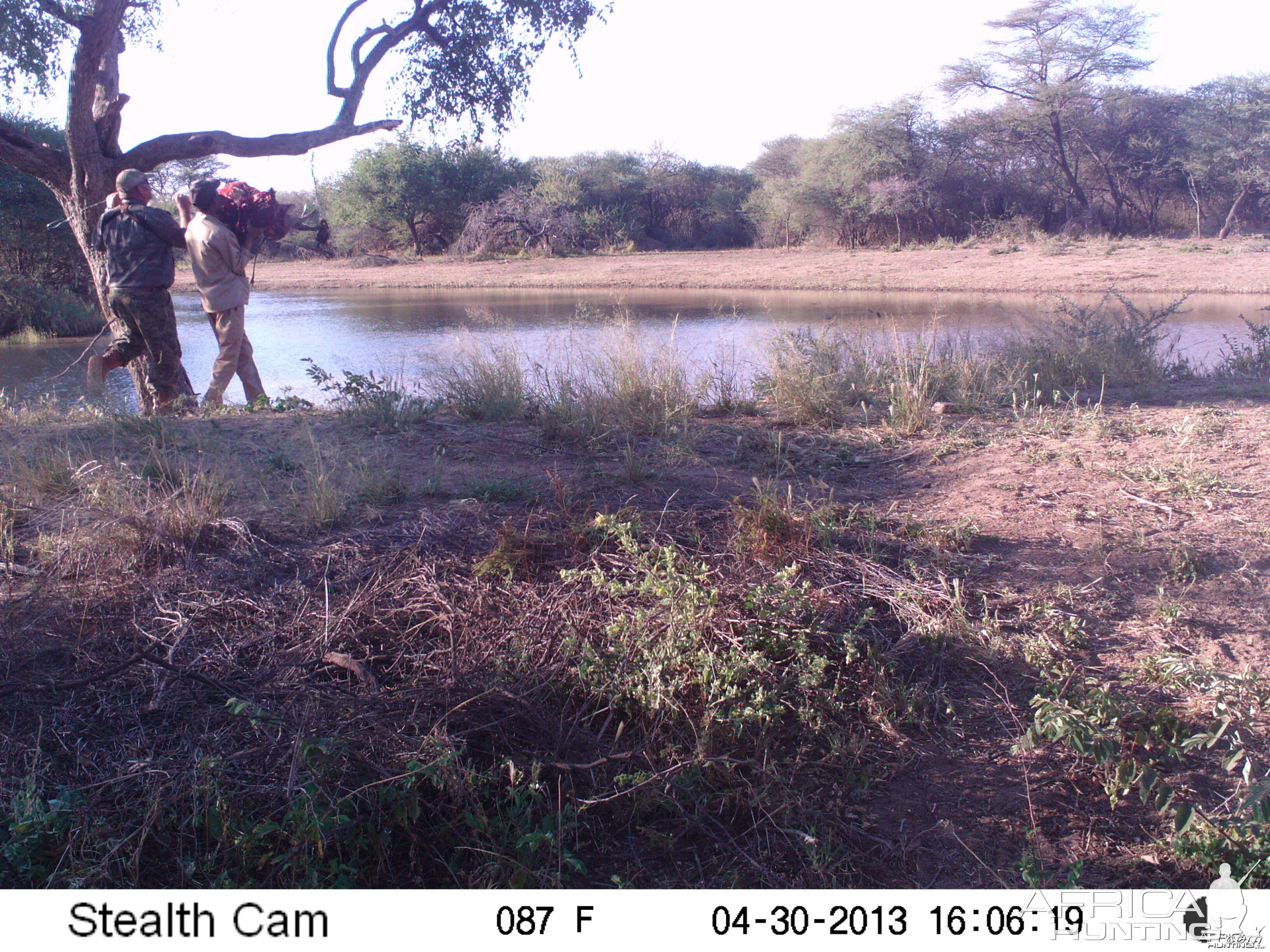 Checking Leopard Bait Trail Camera