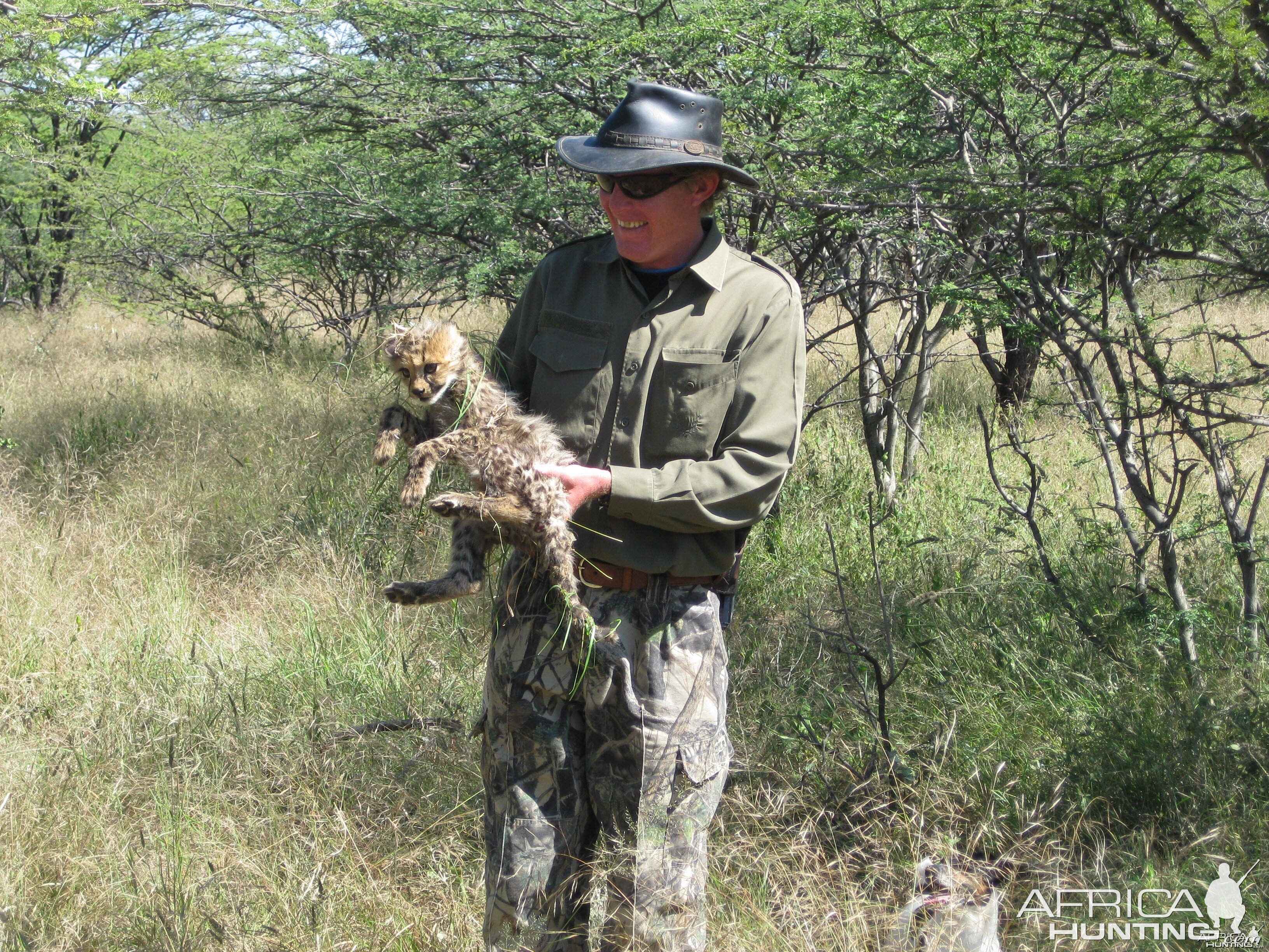 Cheetah Cub Namibia