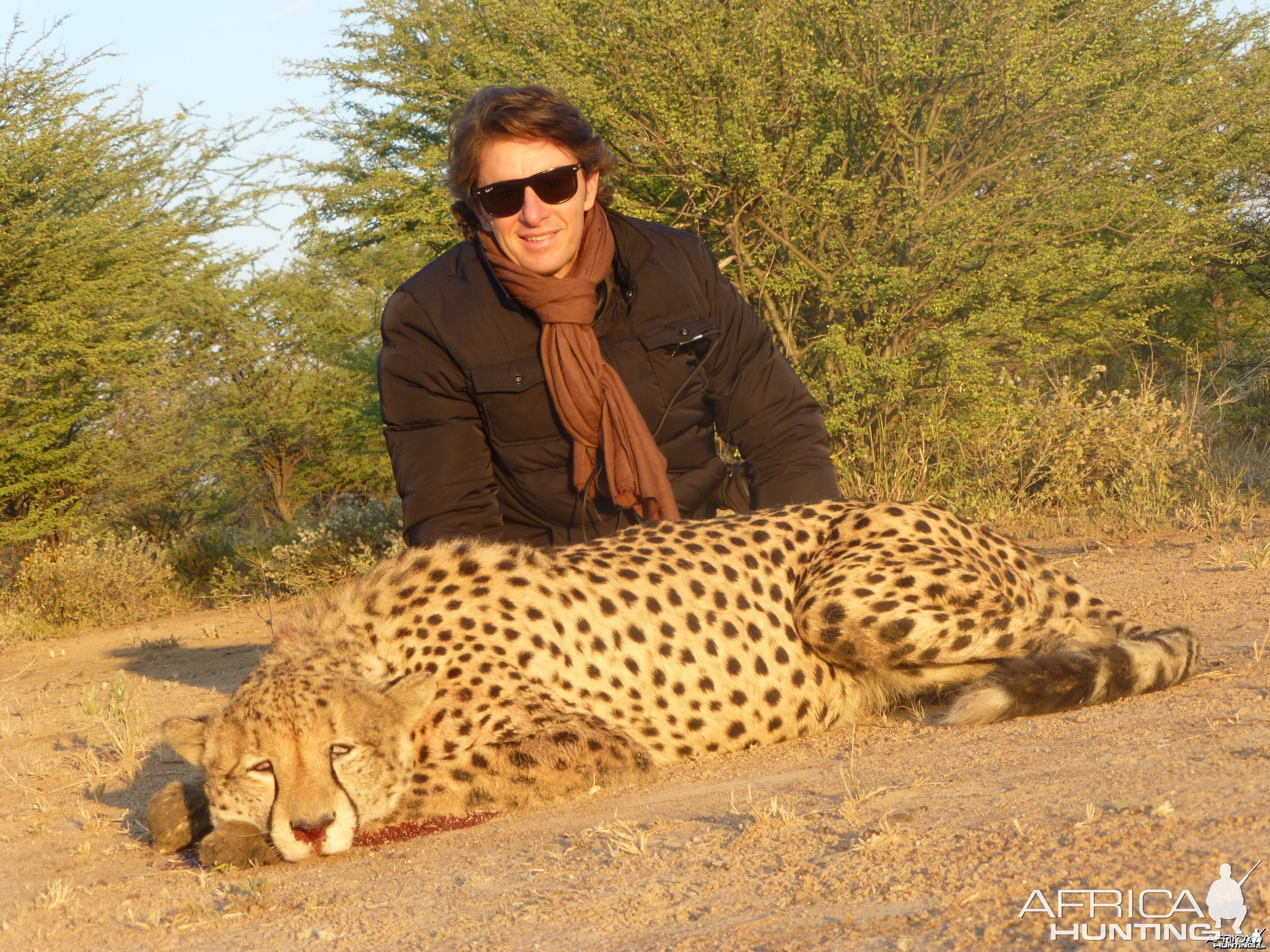 Cheetah hunted with Ozondjahe Hunting Safaris in Namibia