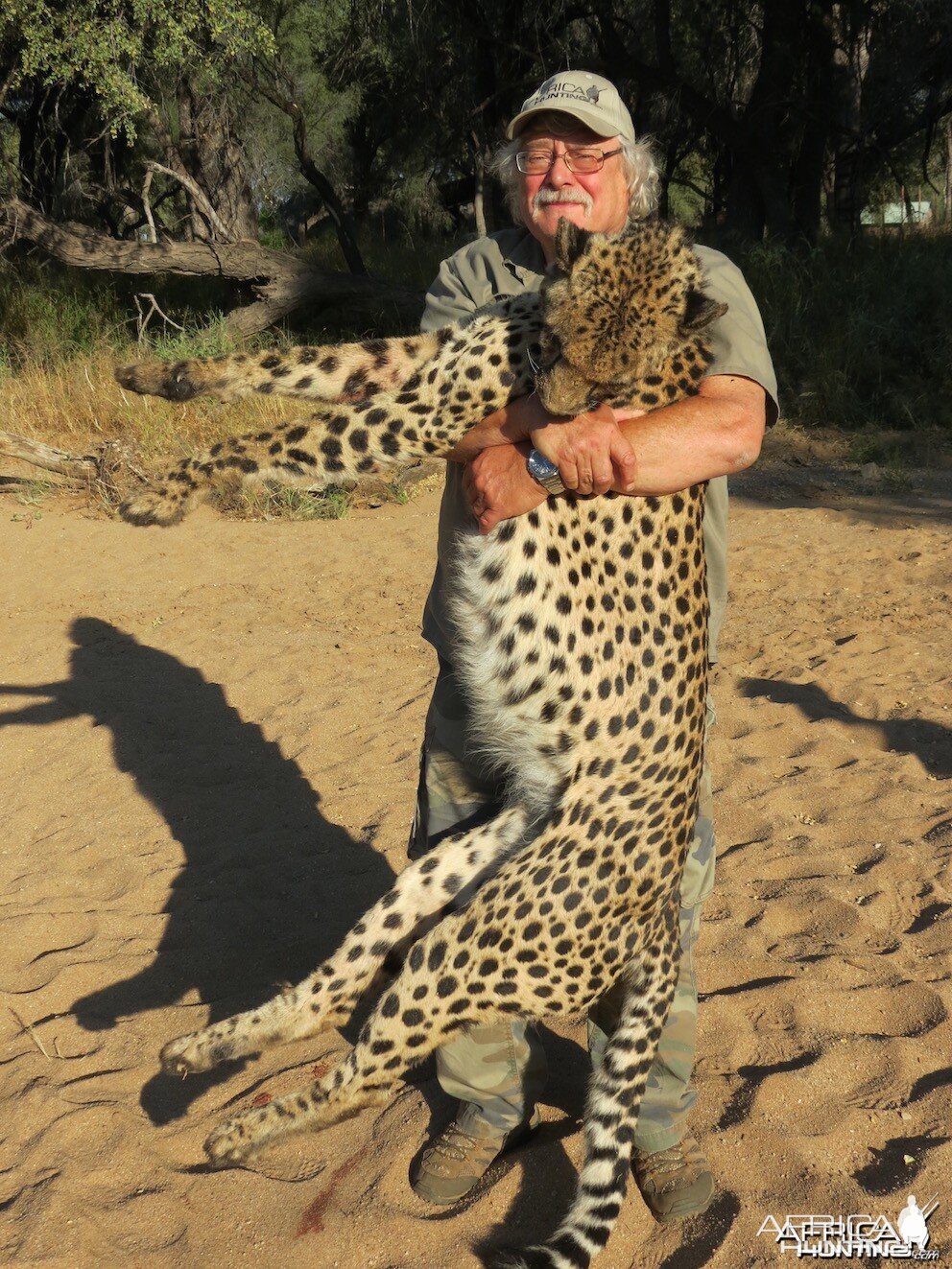 Cheetah - Namibia