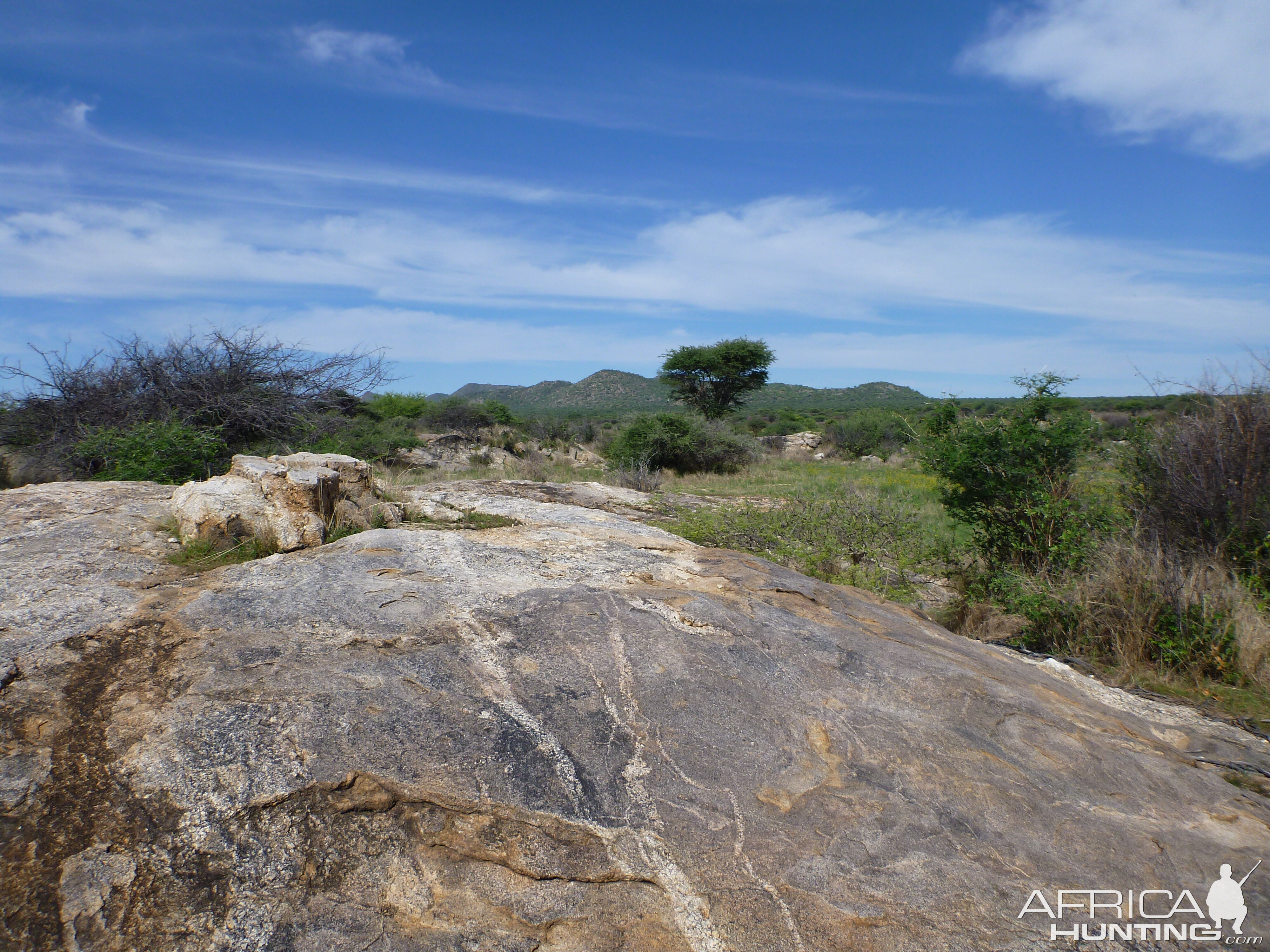 Cheetah scat rocks Namibia