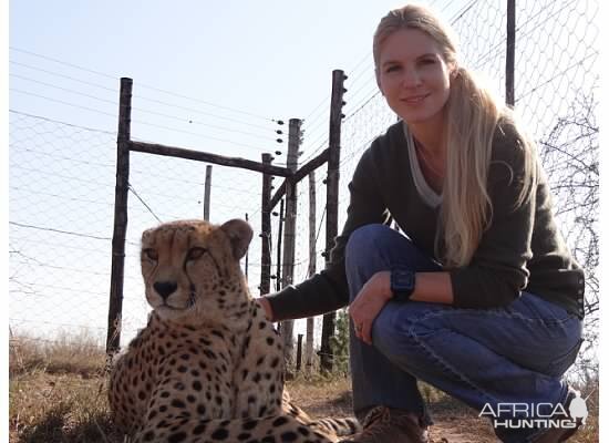 Cheetah South Africa