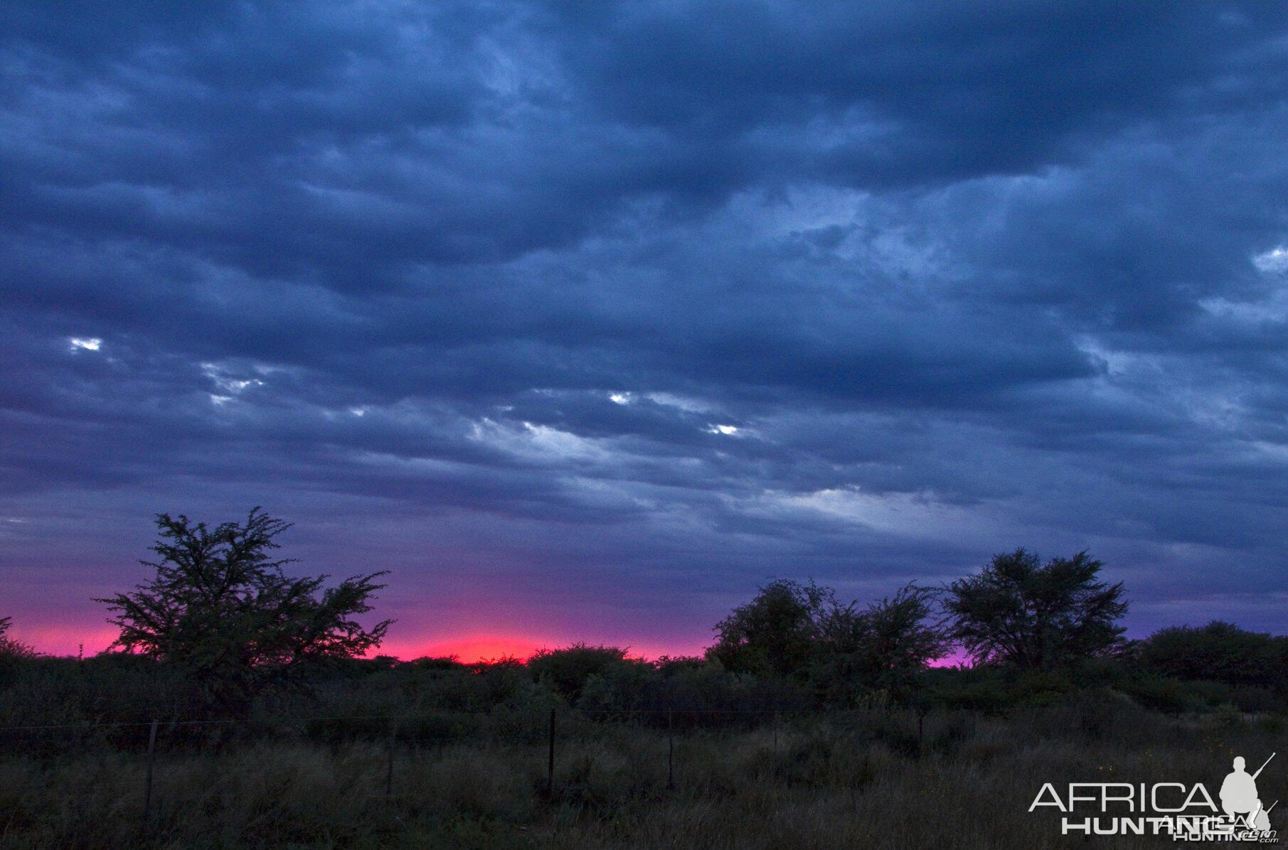 Cheetau Safaris South Africa