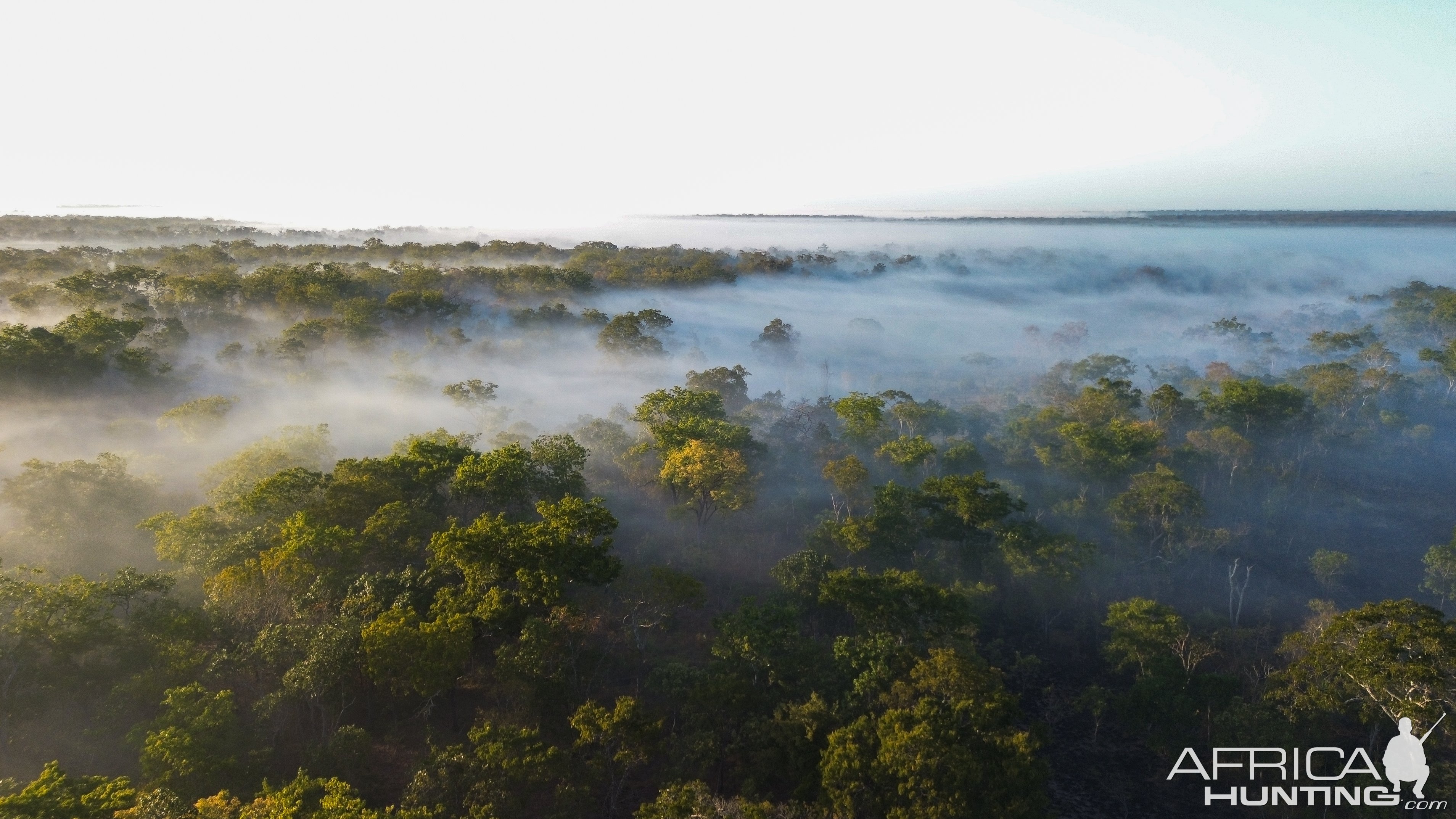 Chinizuia Forest Mozambique