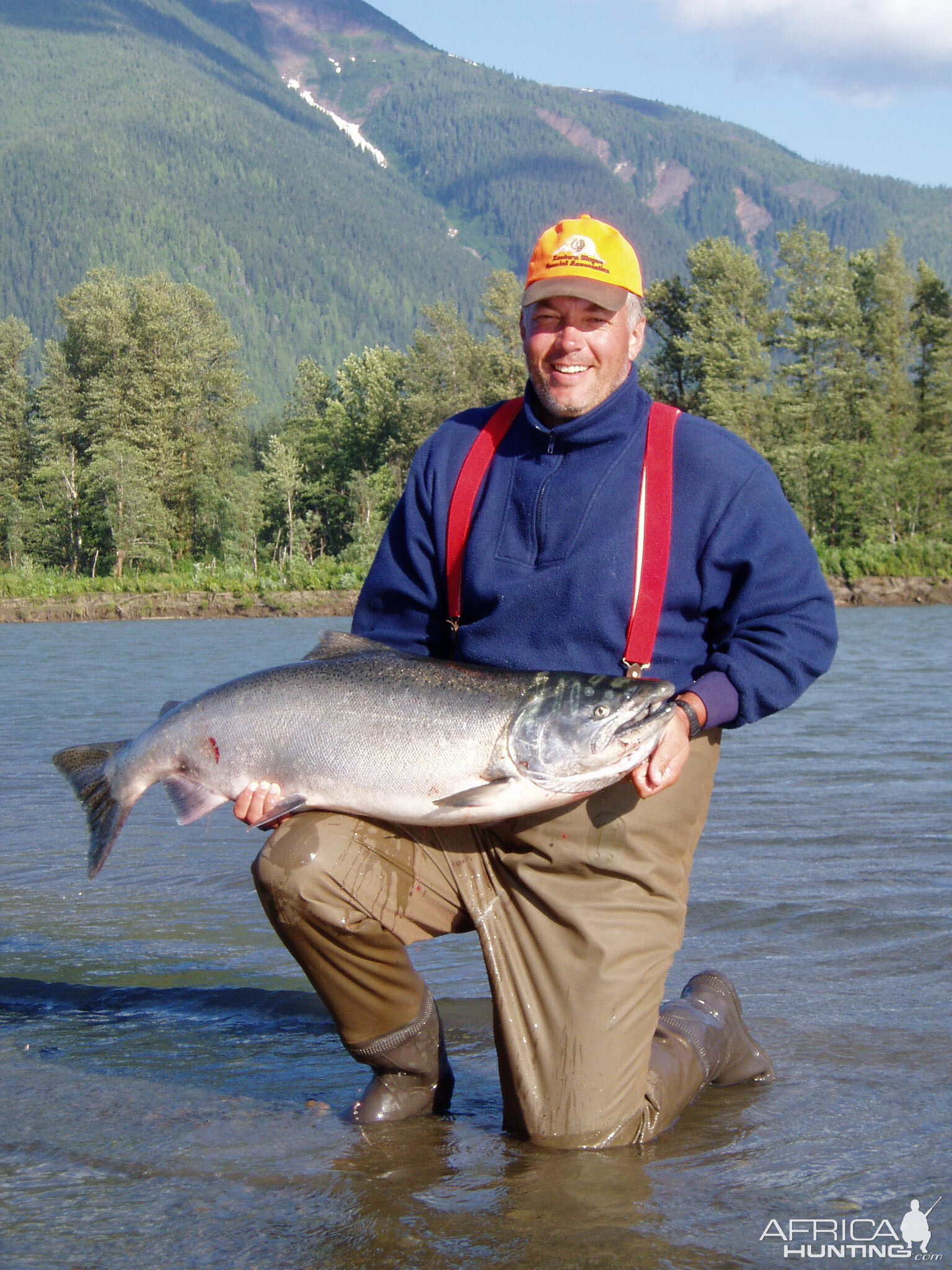 Chinook Salmon