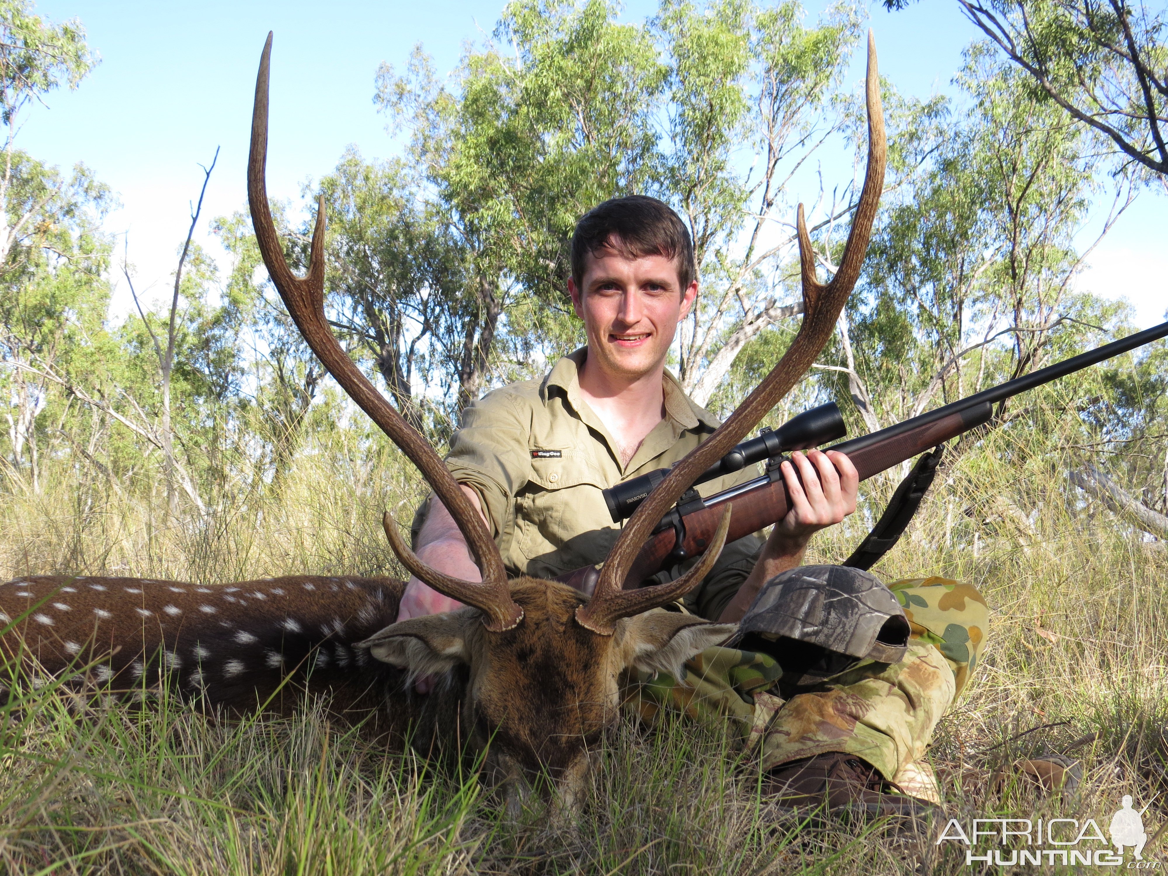 Chital Deer Hunting Australia