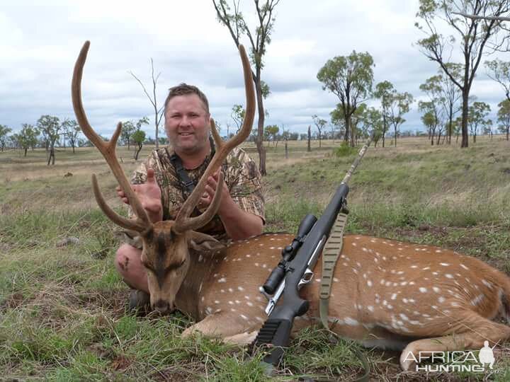 Chital Stag Hunt