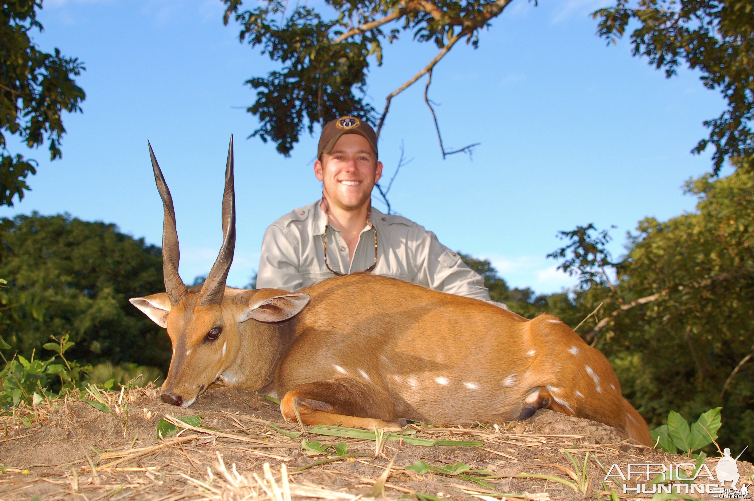 Chobe Bushbuck Taken in Coutada 11, Mozambique, June 2010