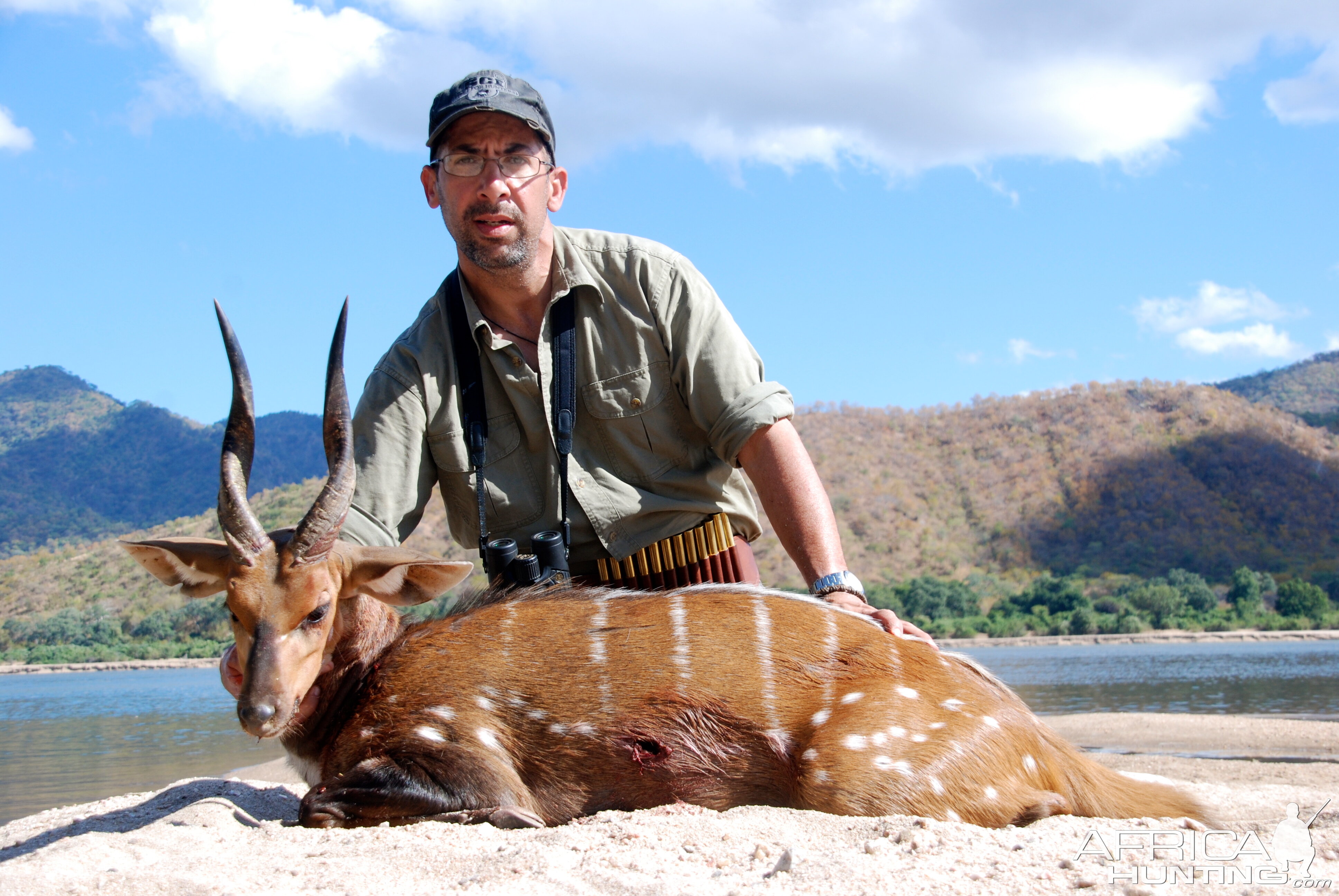 Chobe Bushbuck Zimbabwe 2012